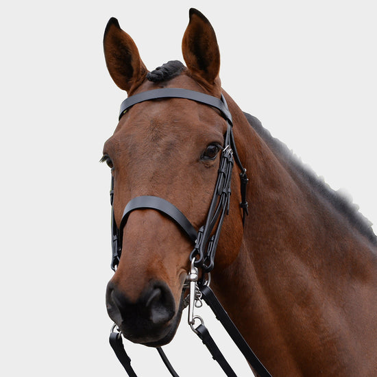 Show Weymouth Bridle