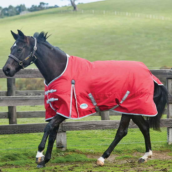 ComFiTec Classic 0g Lightweight Standard Neck Turnout Rug