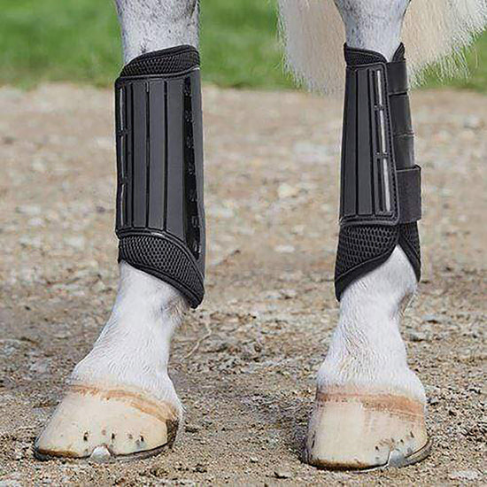 Eventing Hind Boots