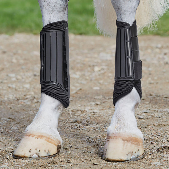 Eventing Hind Boots