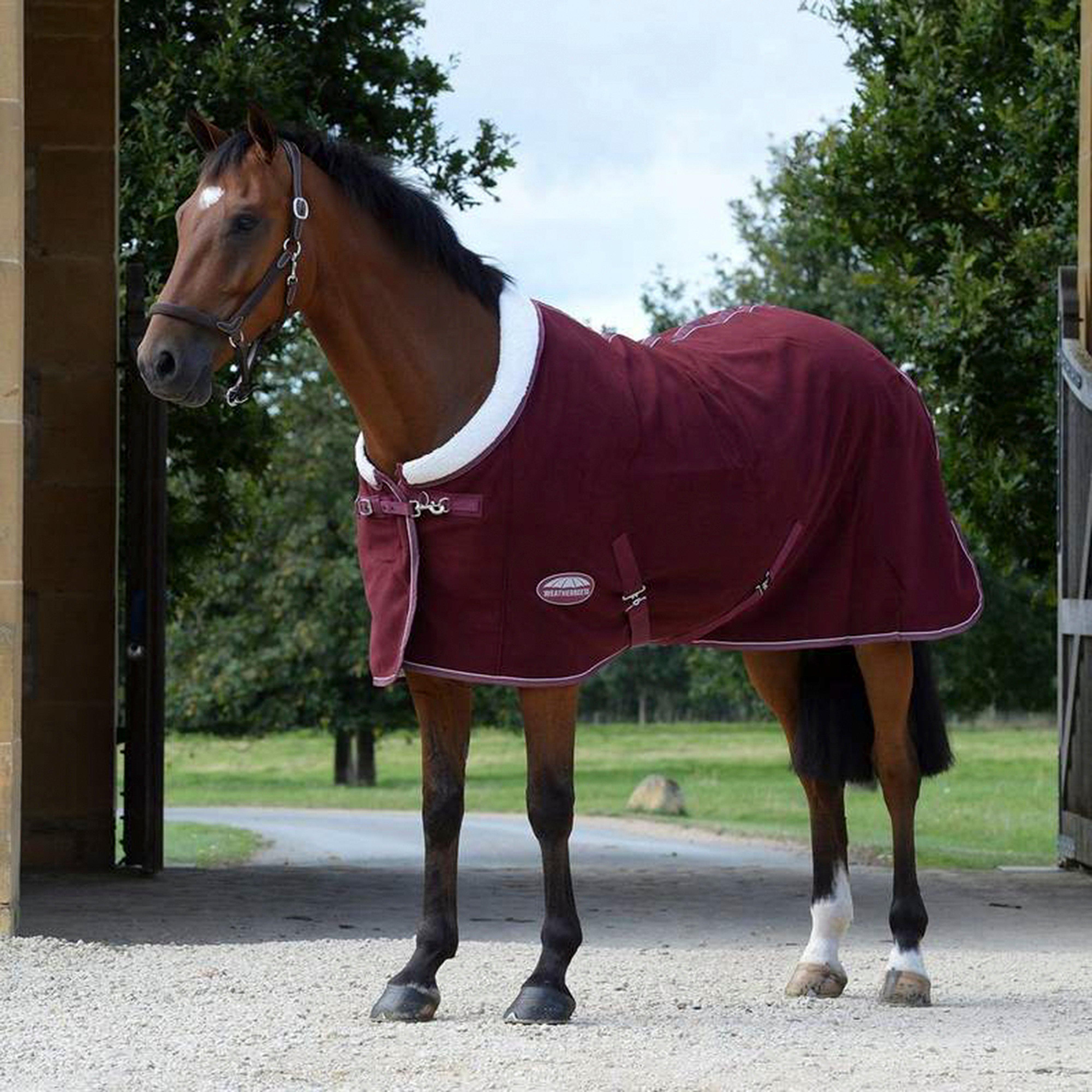 Sherpa Fleece Standard Neck Cooler