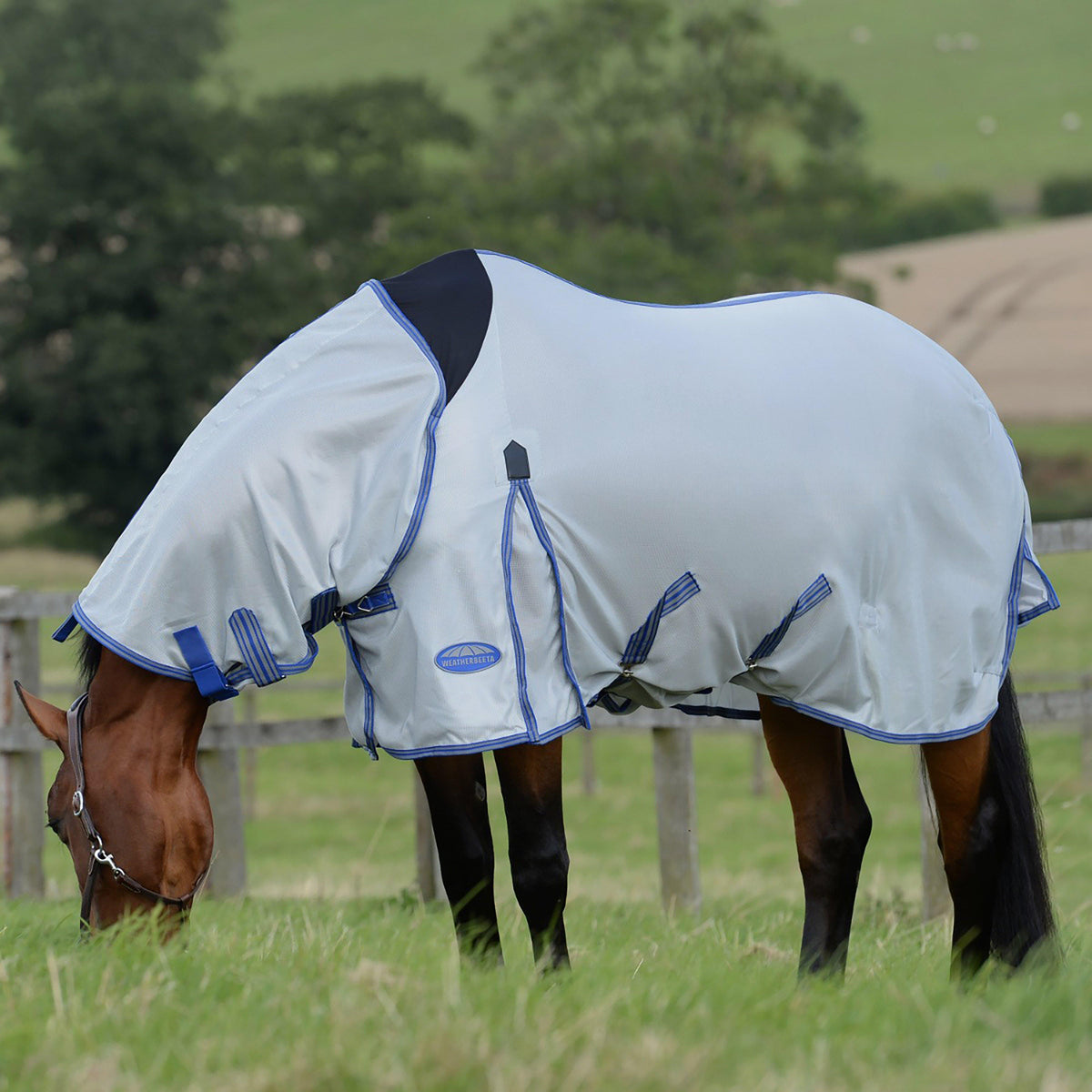 ComFiTec Airflow II Combo Rug Grey/Blue