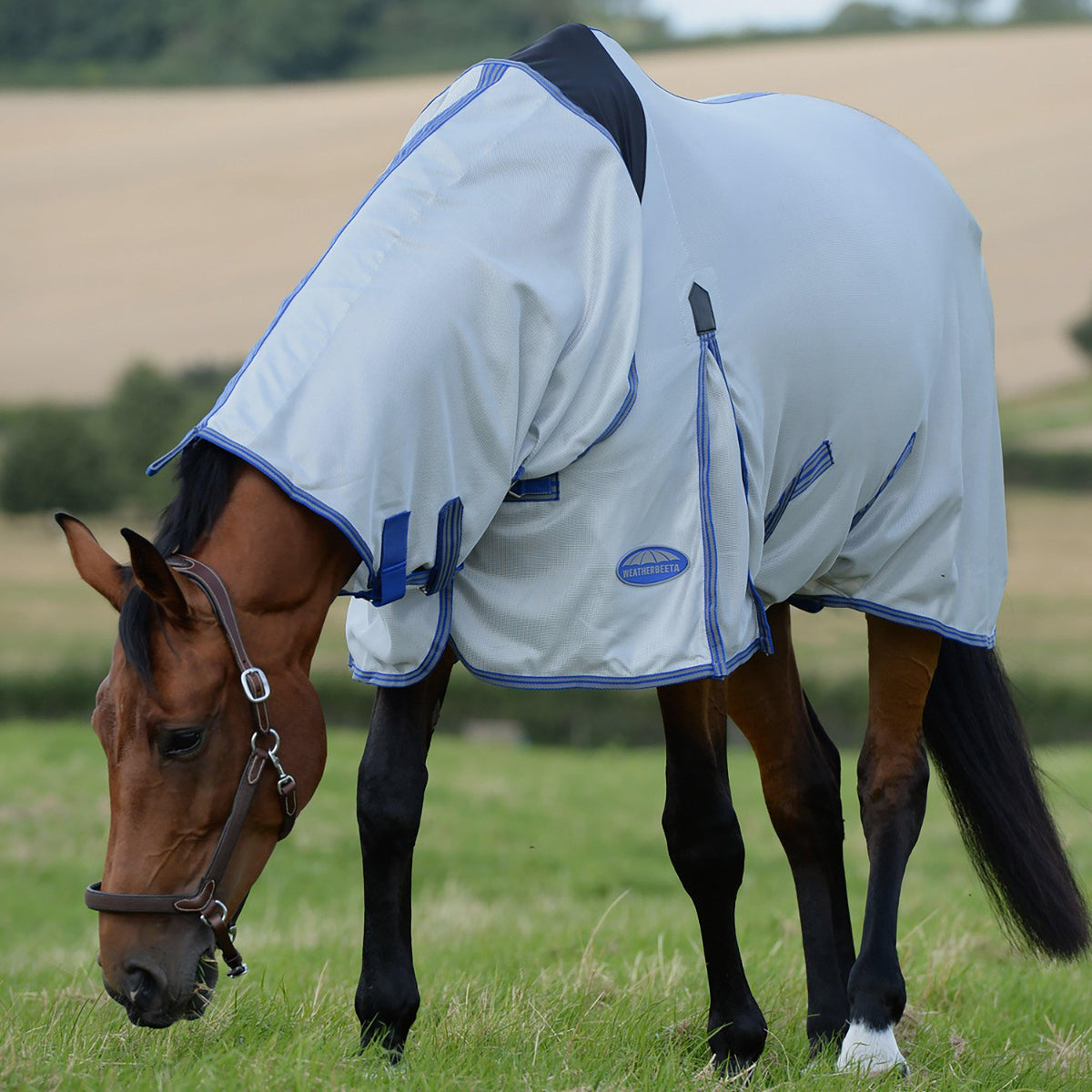 ComFiTec Airflow II Combo Rug Grey/Blue