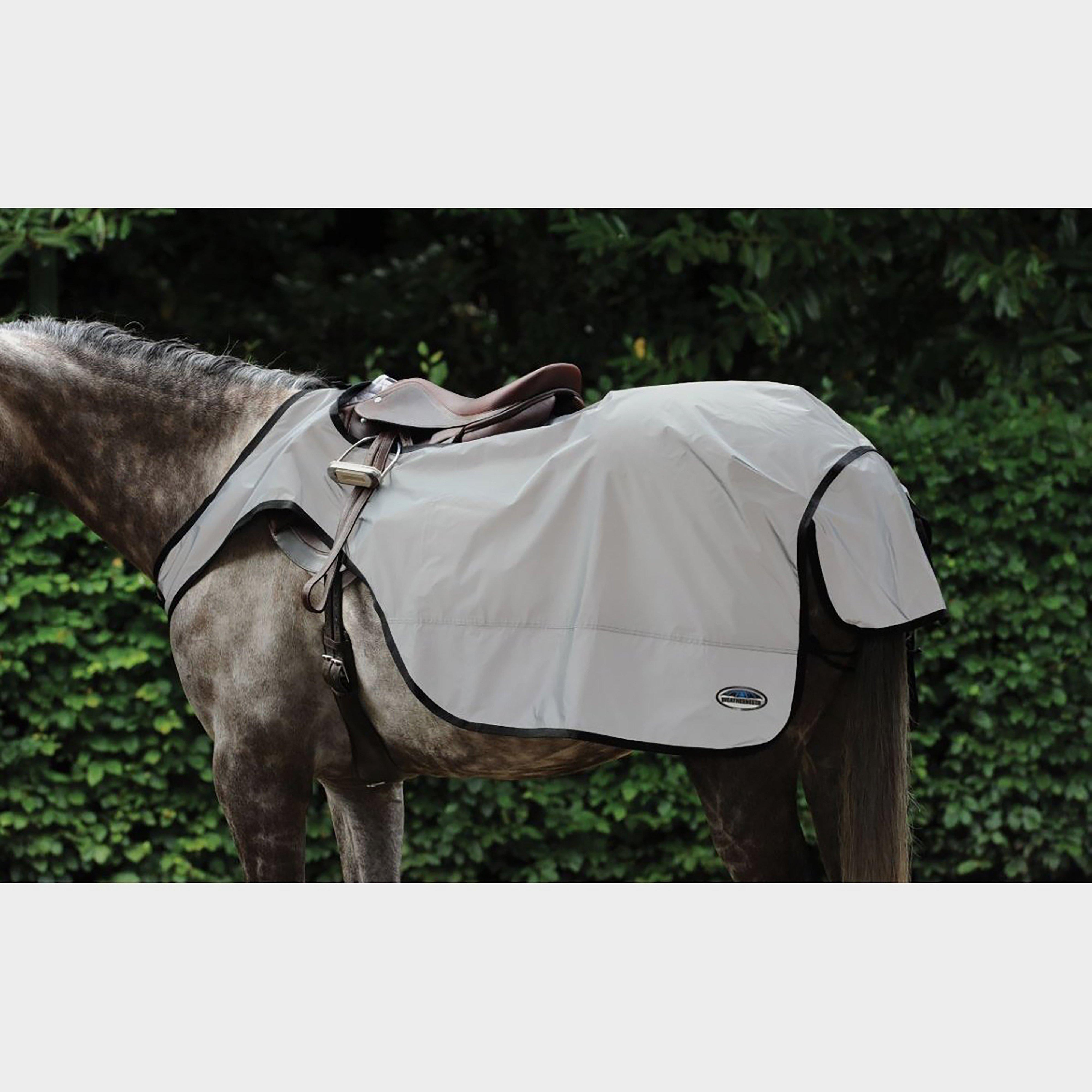 Reflective Wrap Exercise Sheet