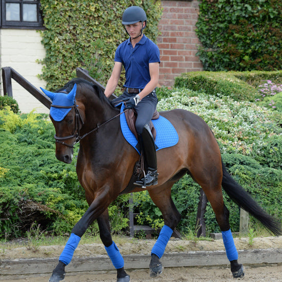 Prime Fly Veil Royal Blue