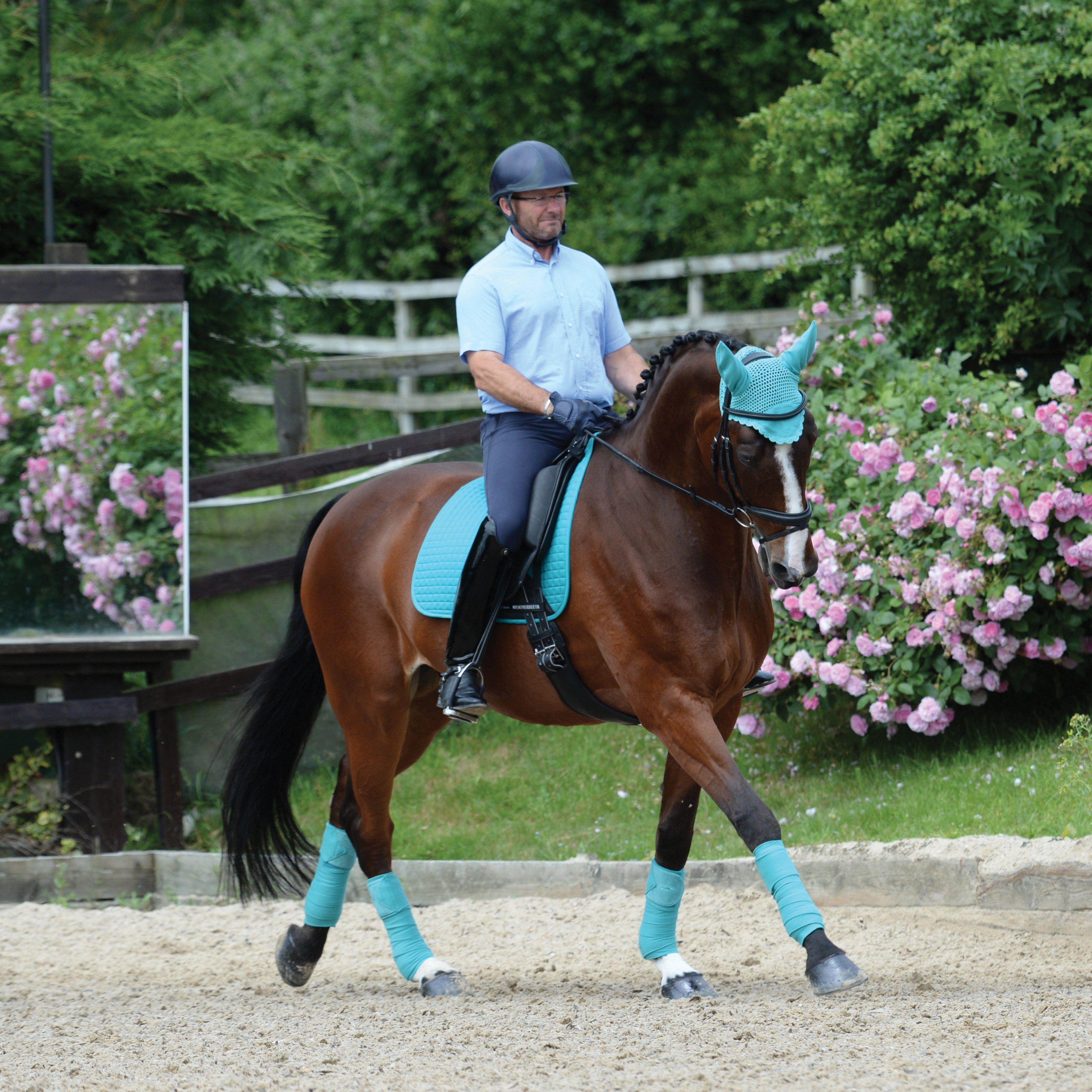 Prime Fly Veil Turquoise