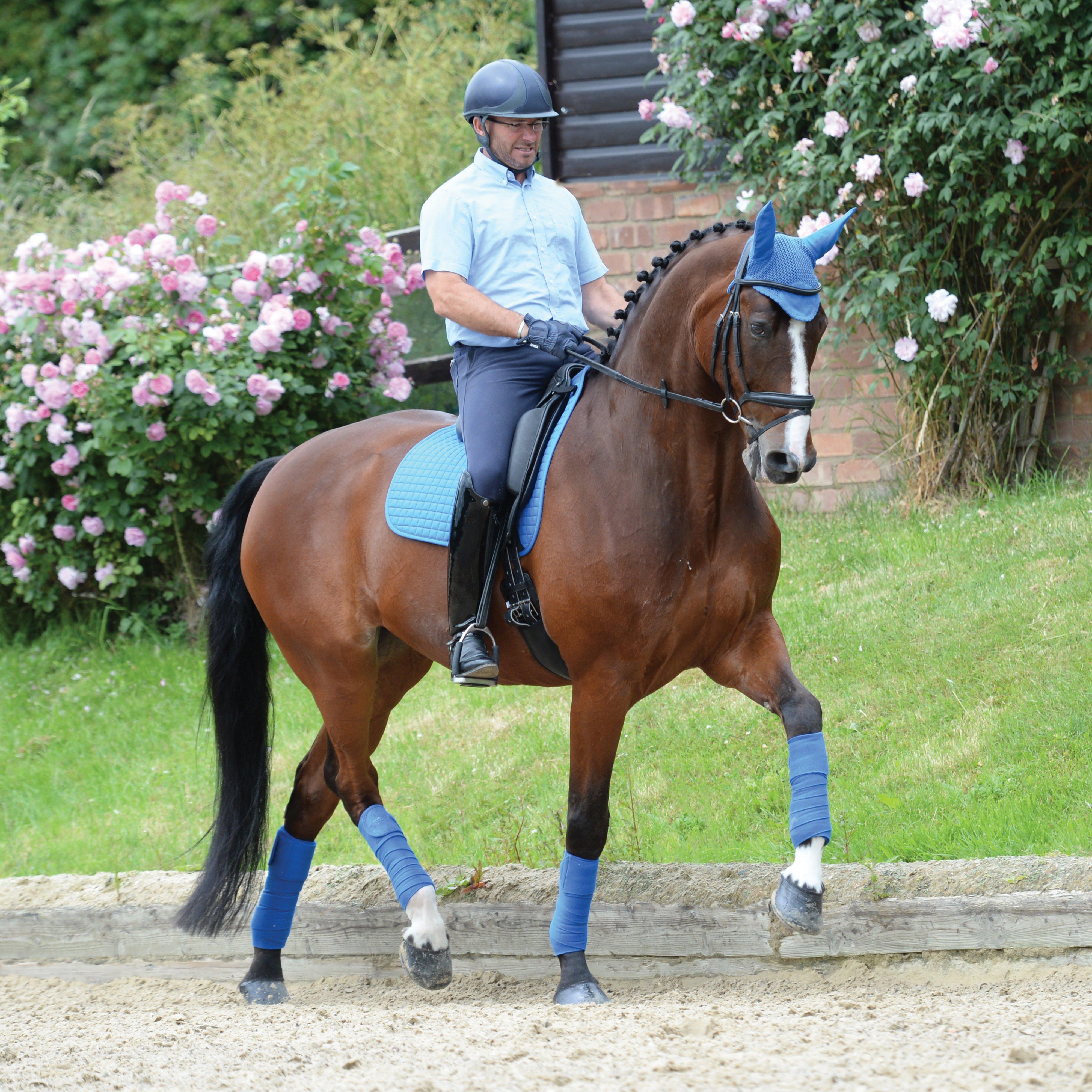 Prime Dressage Saddle Pad