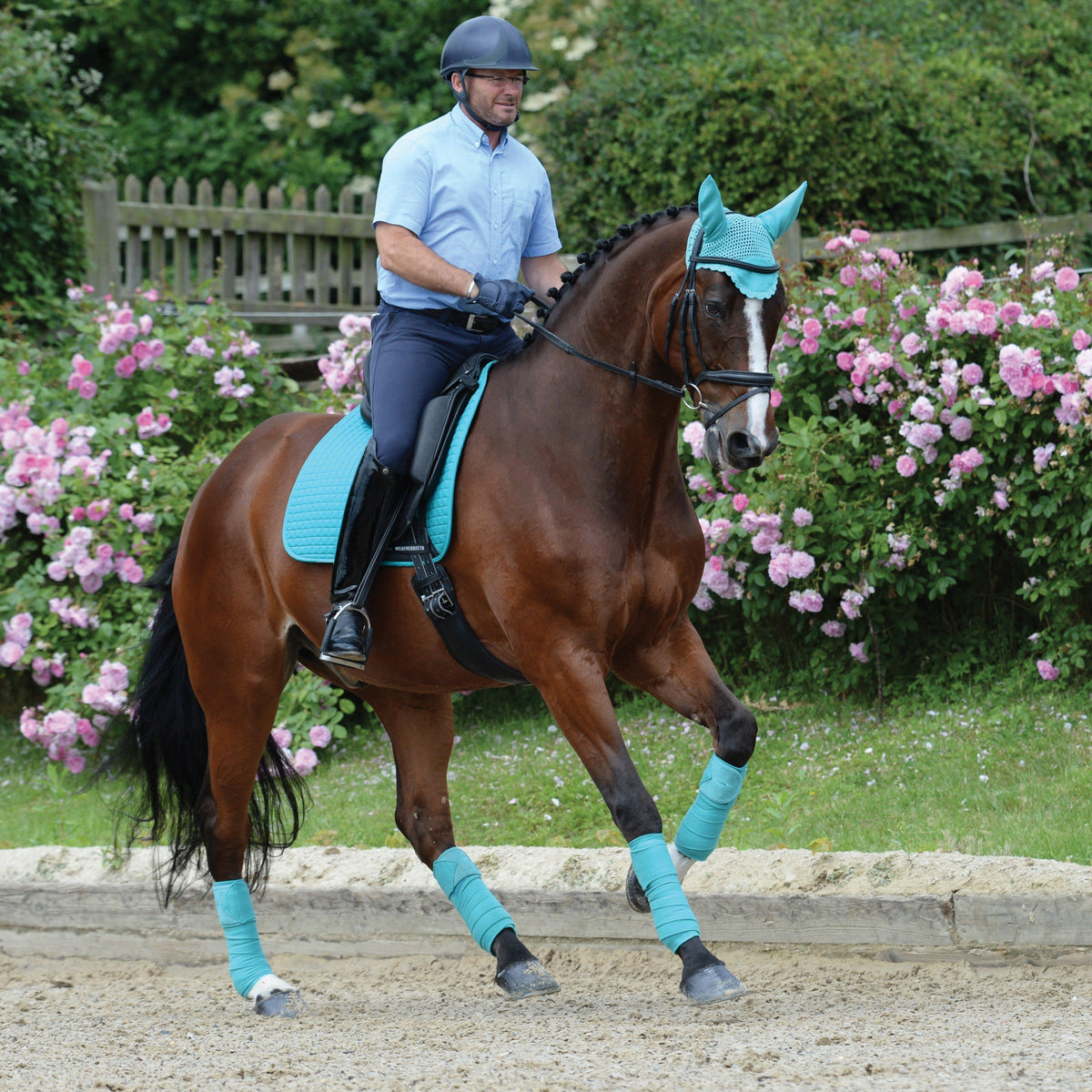 Prime Dressage Saddle Pad Turquoise