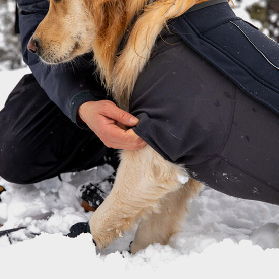 Cloud Chaser Dog Jacket