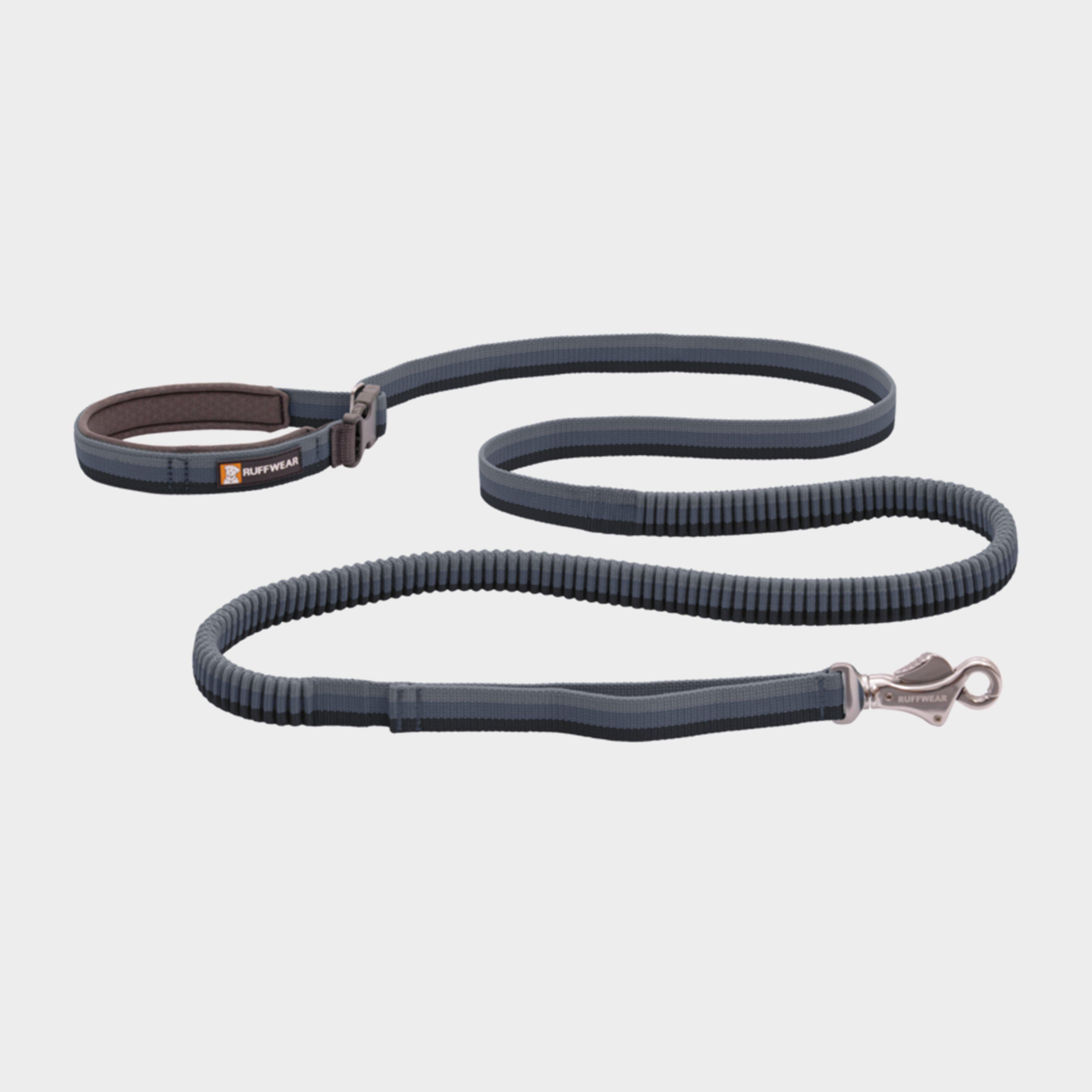 Roamer Bungee Dog Leash