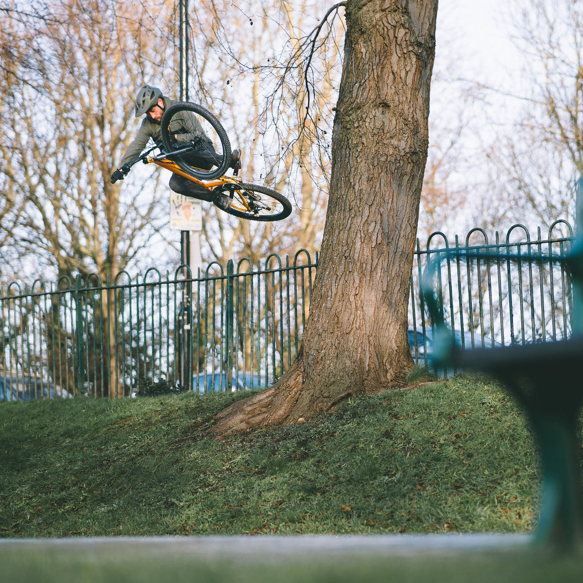 Rake 27”