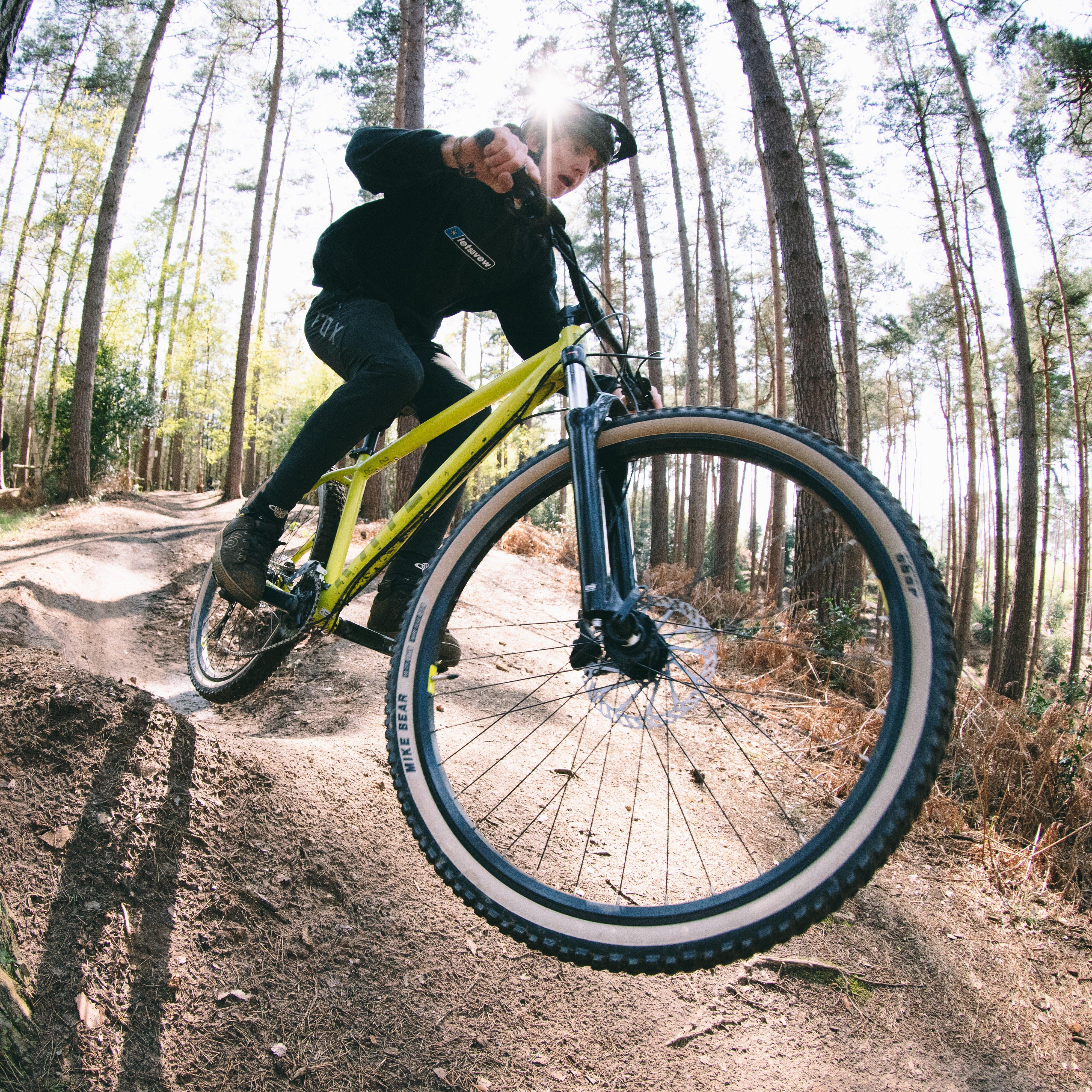 Rail 29”