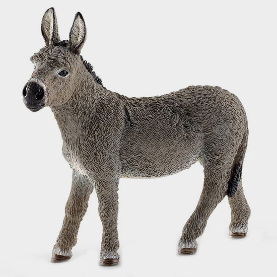 Donkey 2015