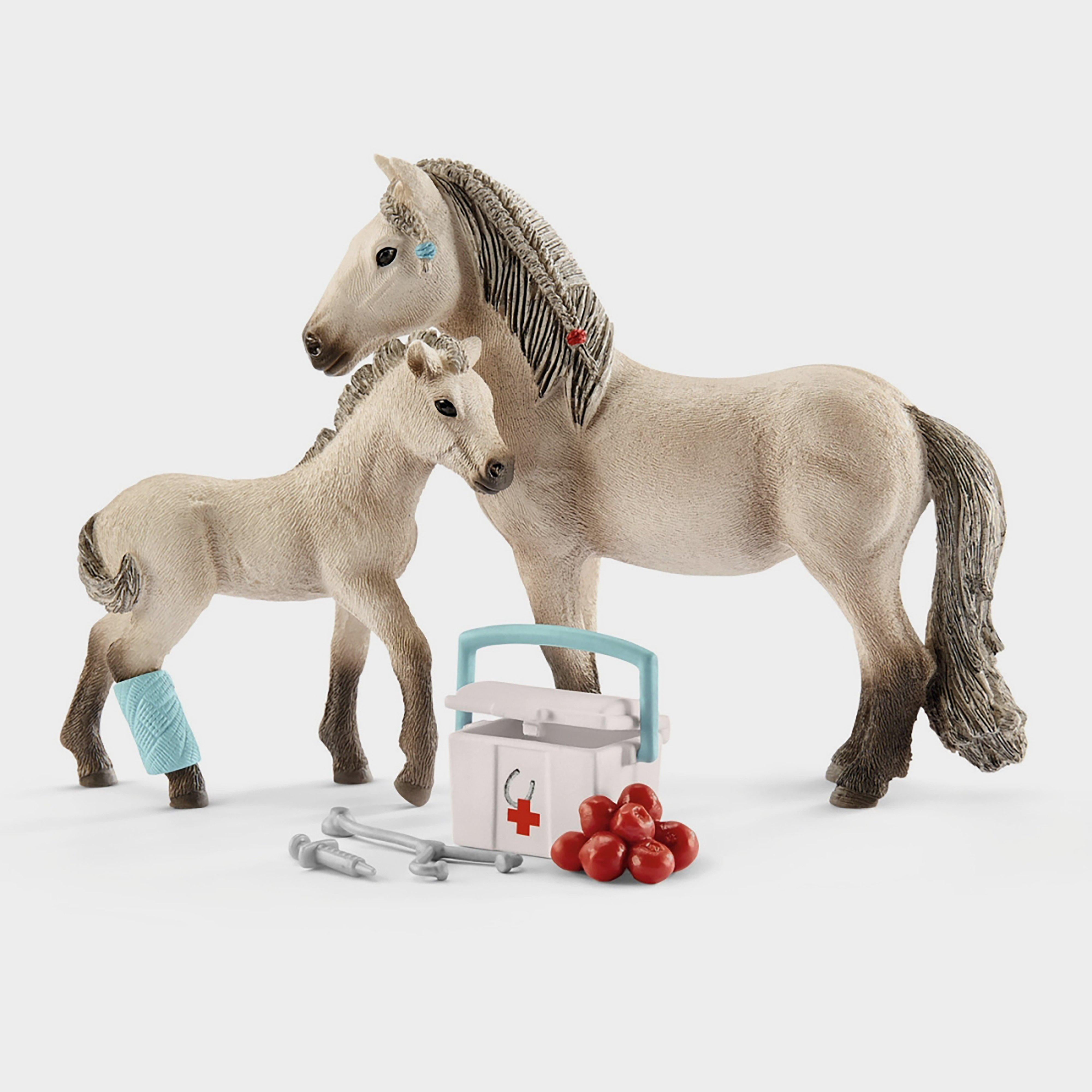 First Aid & Icelandic Pony