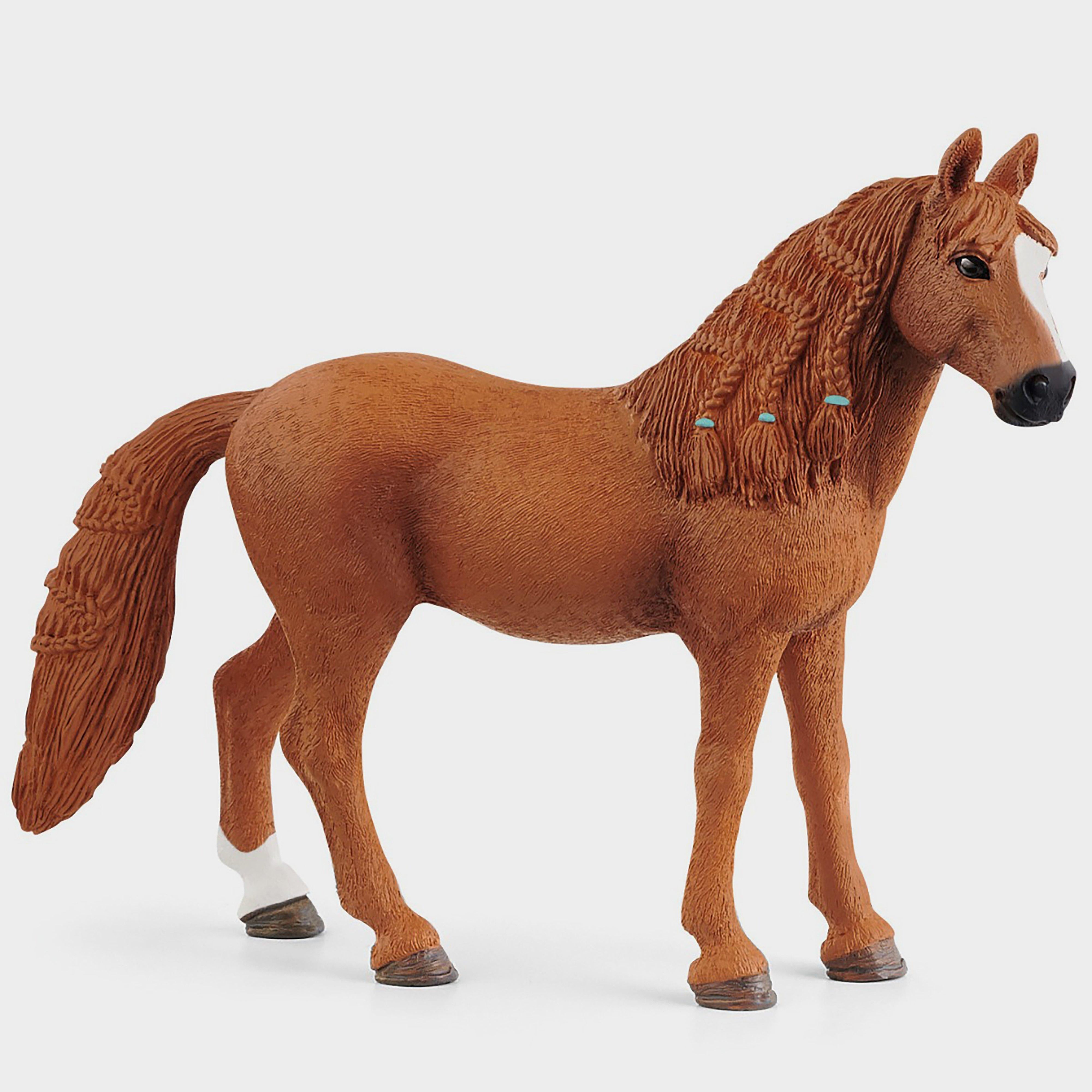 German Pony Mare