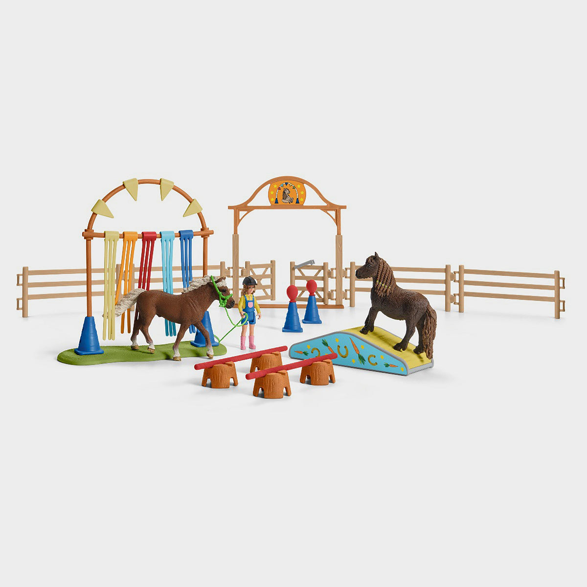 Pony Agility Training