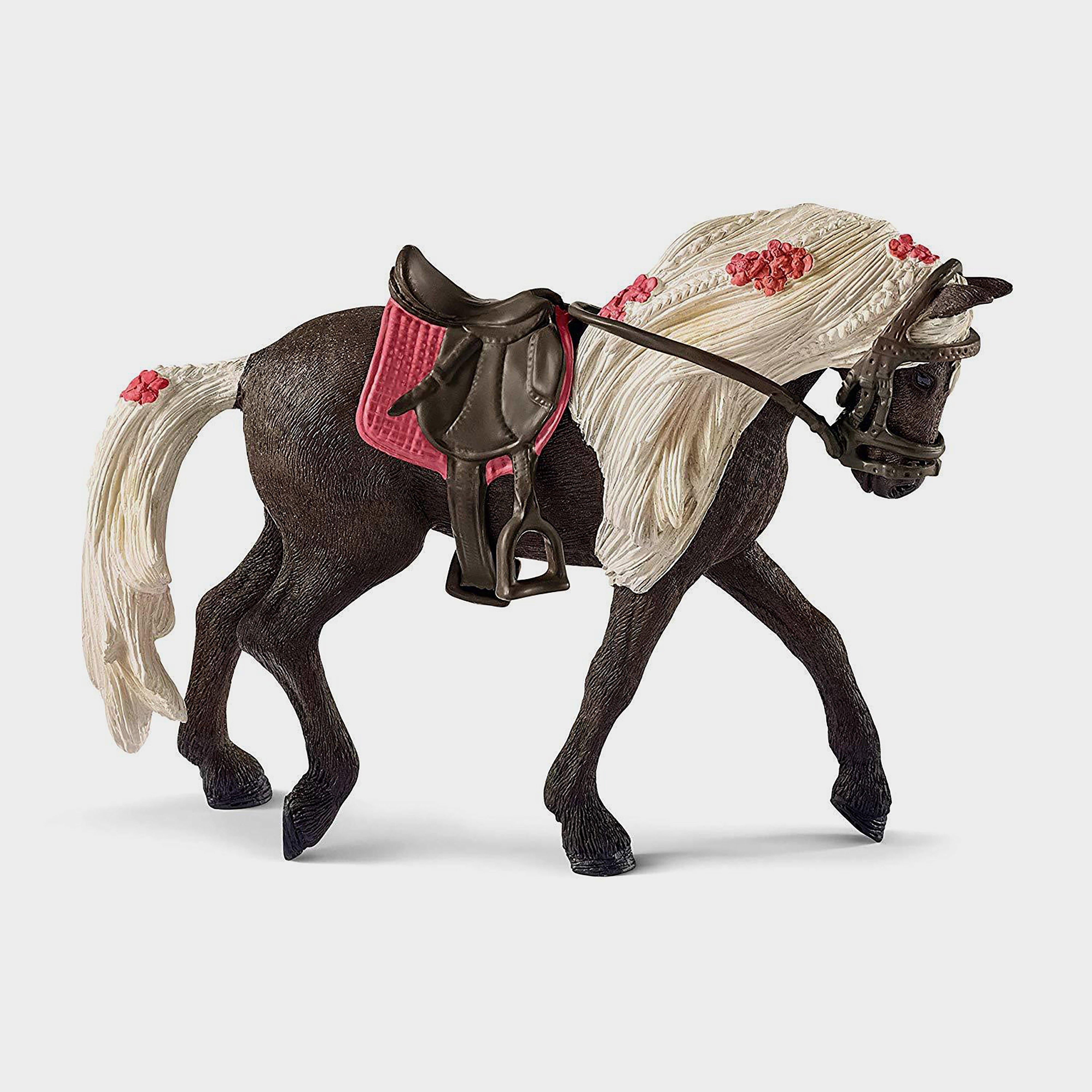 Rocky Mountain Mare Horse Show