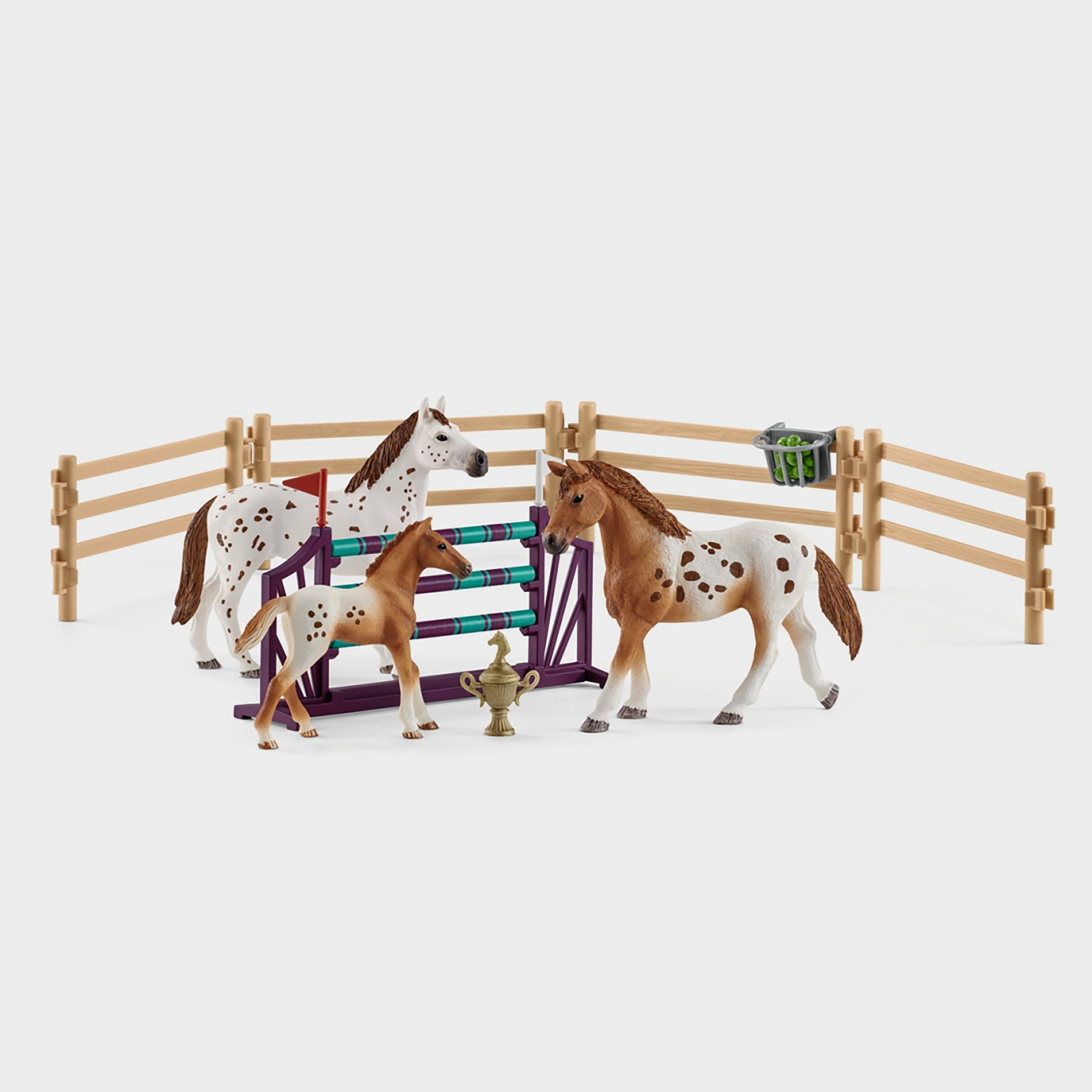 Tournament & Appaloosa Set