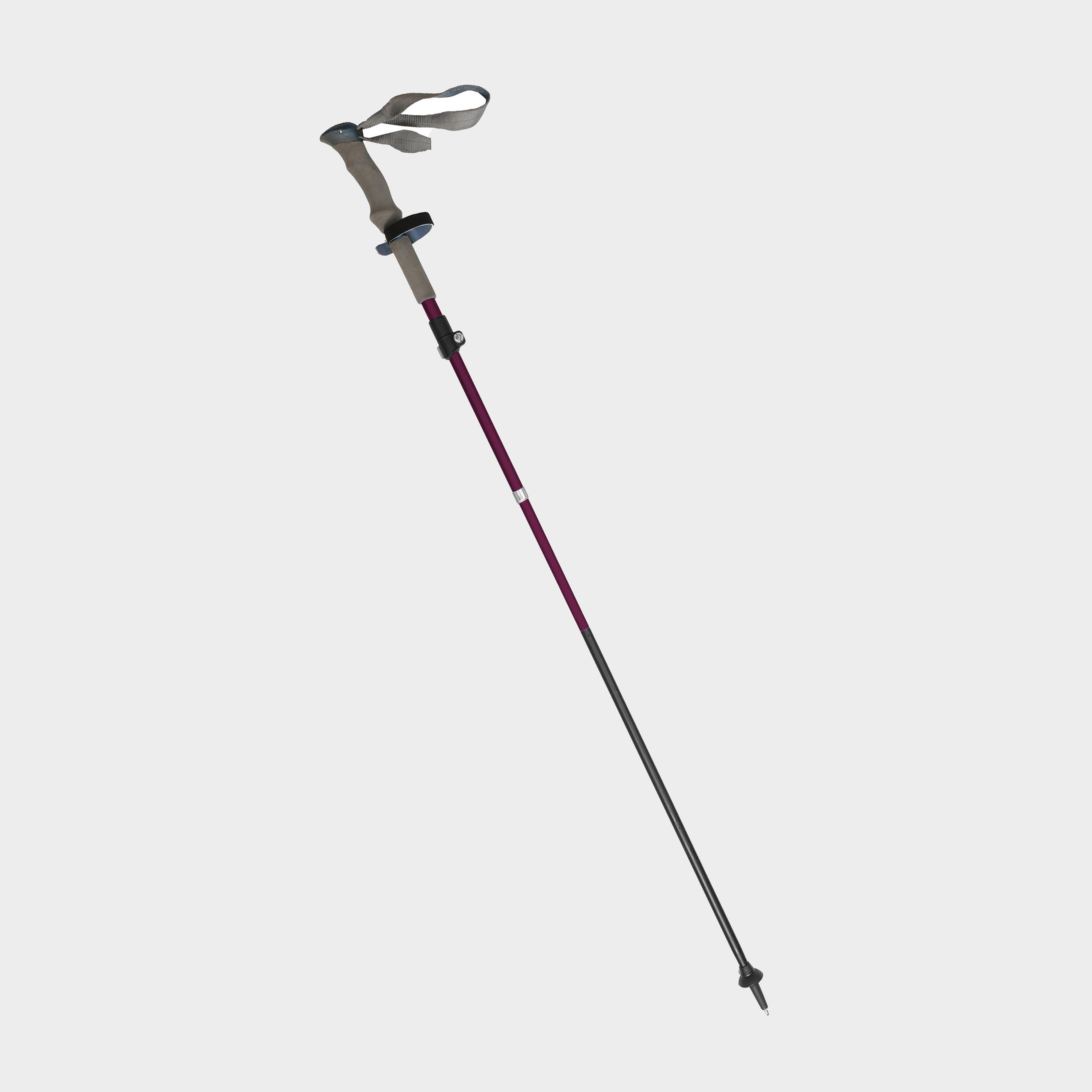 Fold Lock Walking Pole