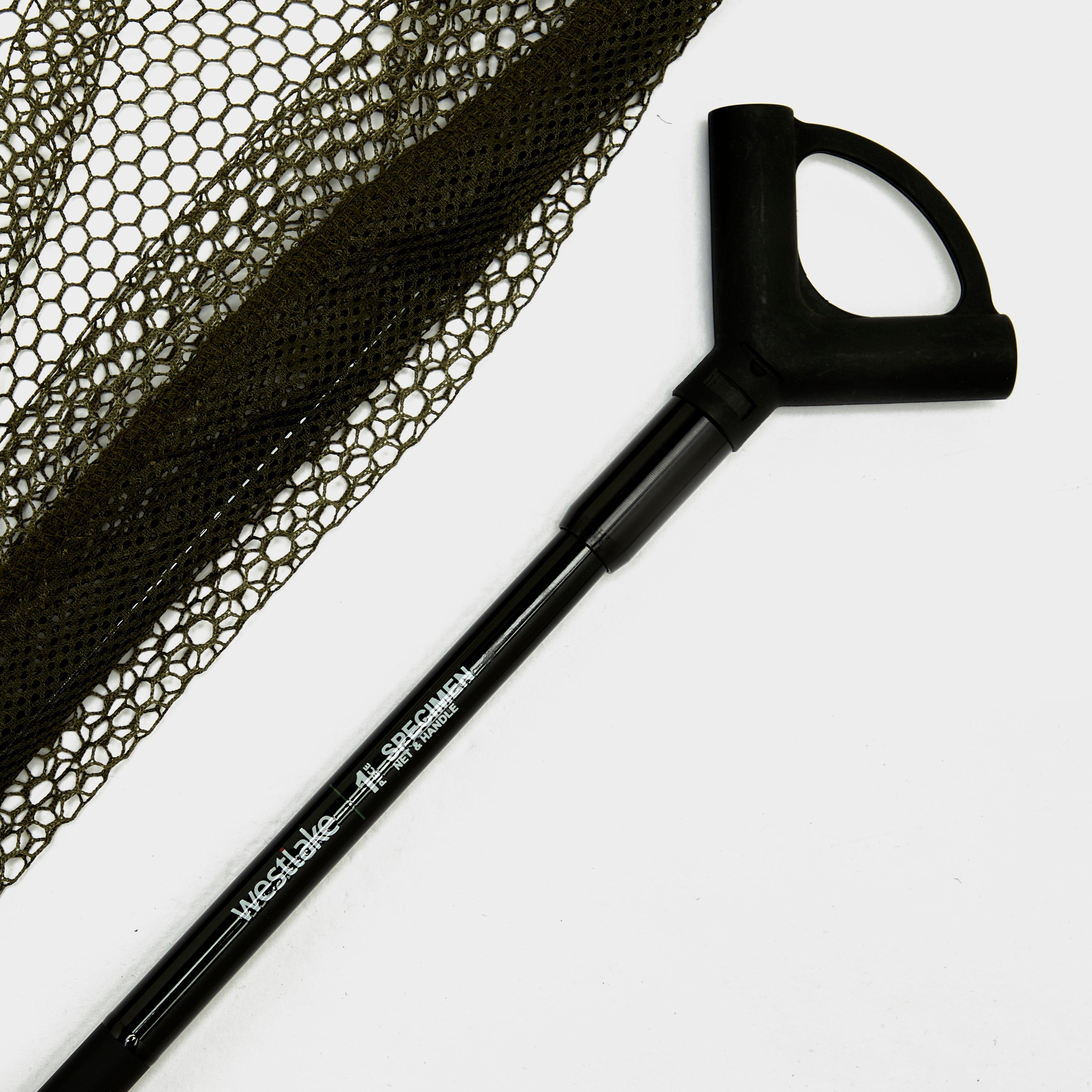1-Piece Specimen Net and Handle