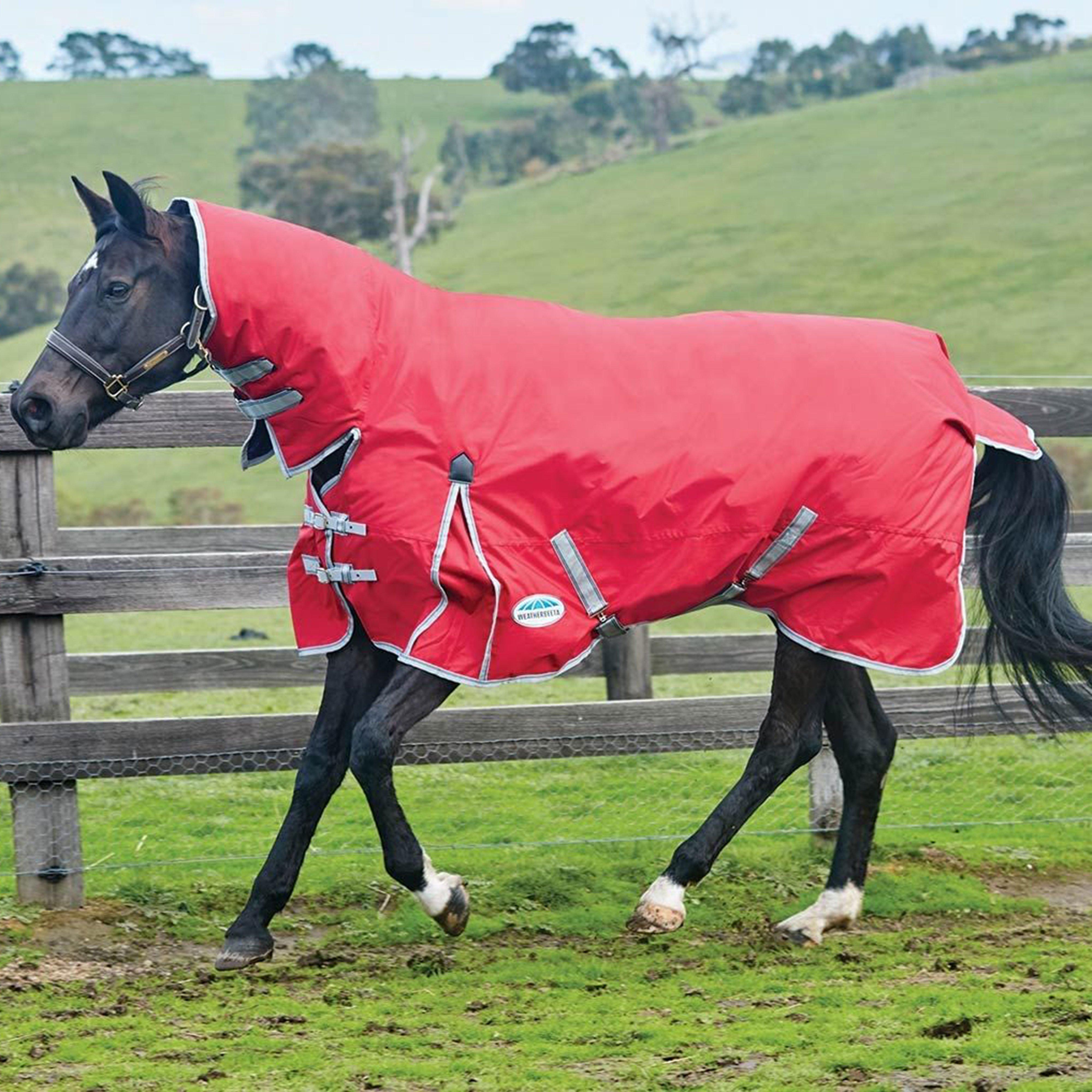 ComFiTec Classic Combo Rug Heavy