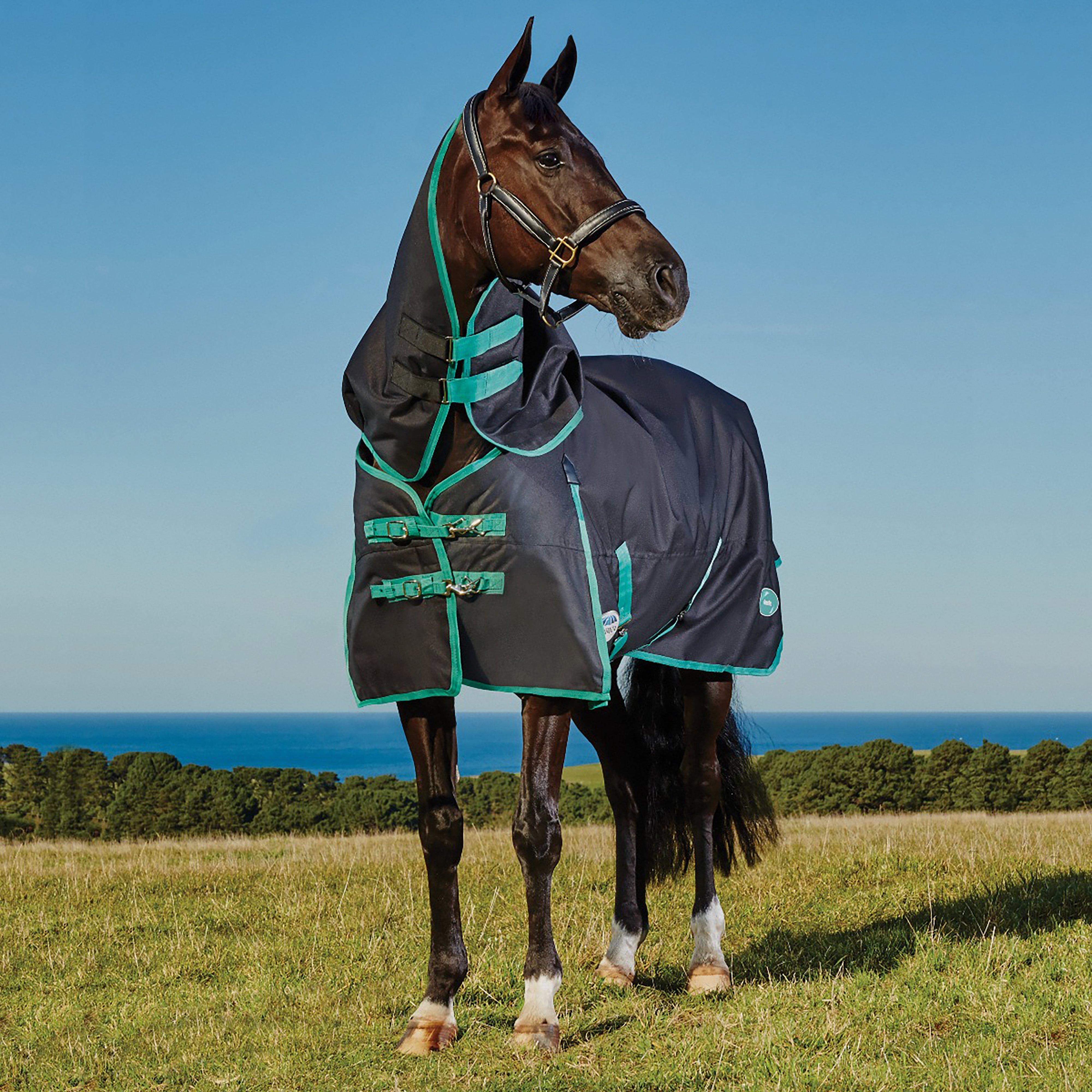 Green-Tec 900D 220g Medium Weight Detach-A-Neck Turnout Rug