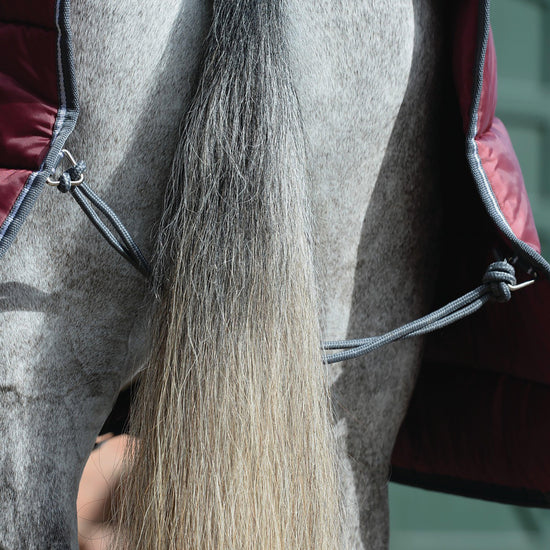 ComFiTec 210D Channel Quilt 400g Heavy Weight Combo Stable Rug