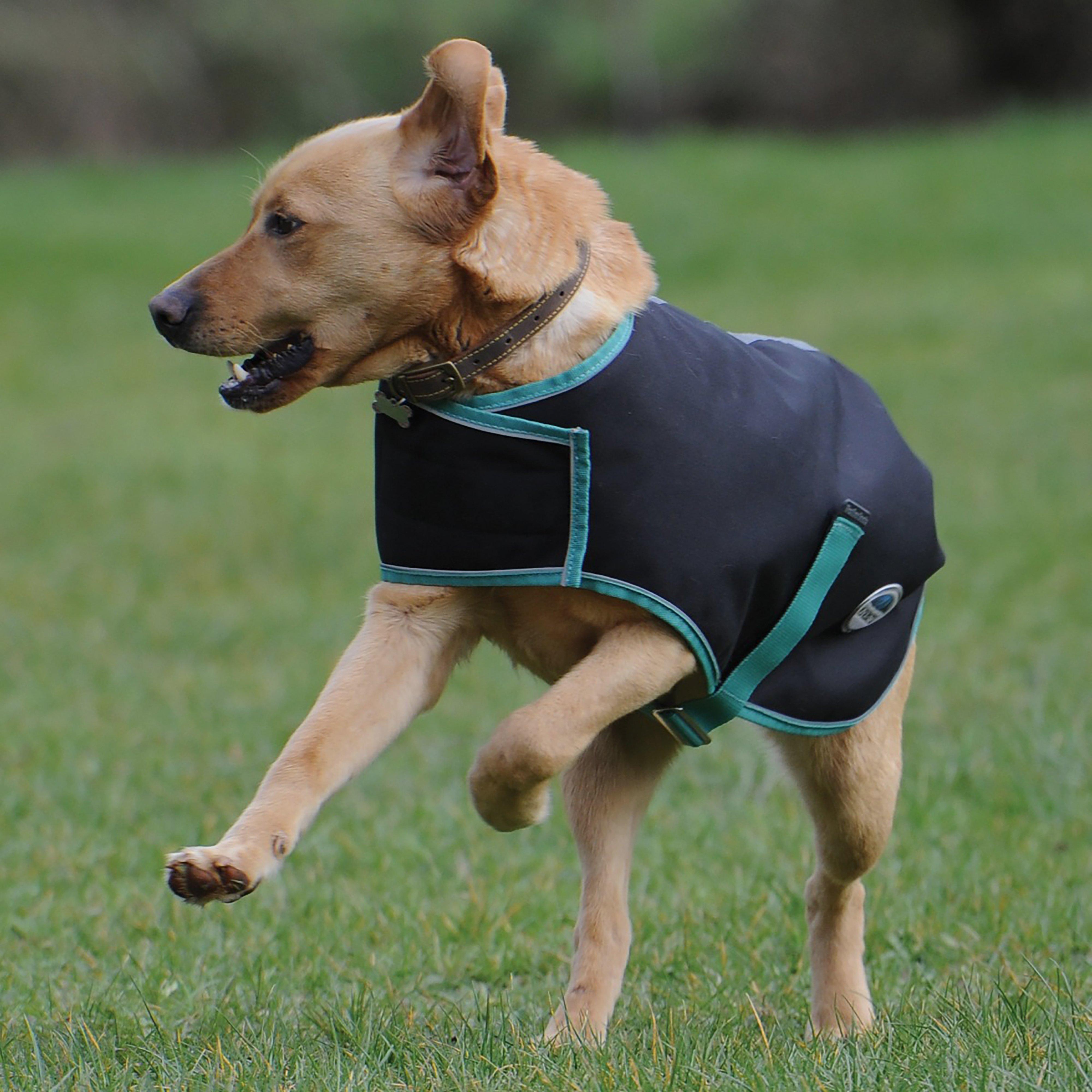 Green-Tec 900D Waterproof Dog Coat
