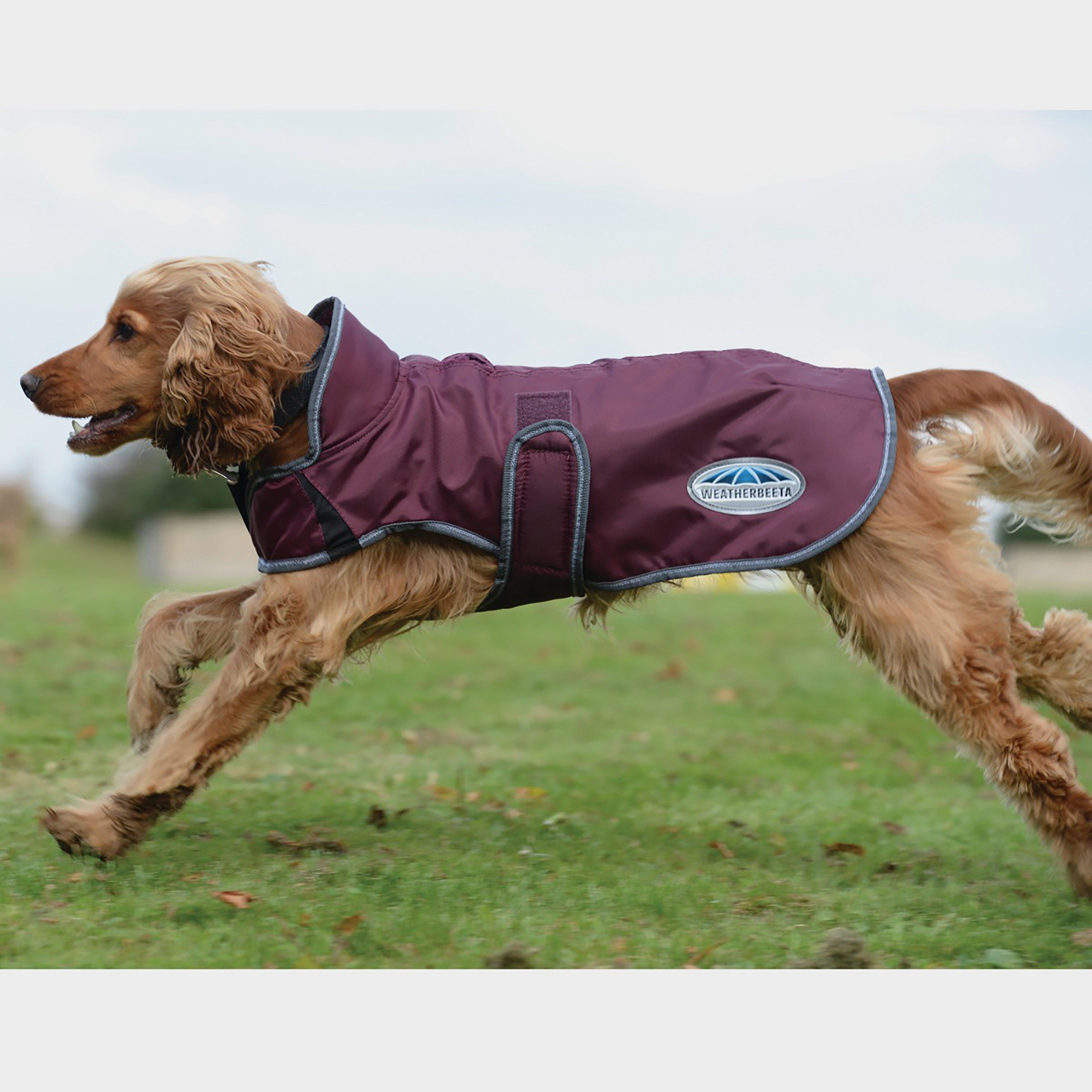 Comfitec Windbreaker Free Deluxe Dog Coat