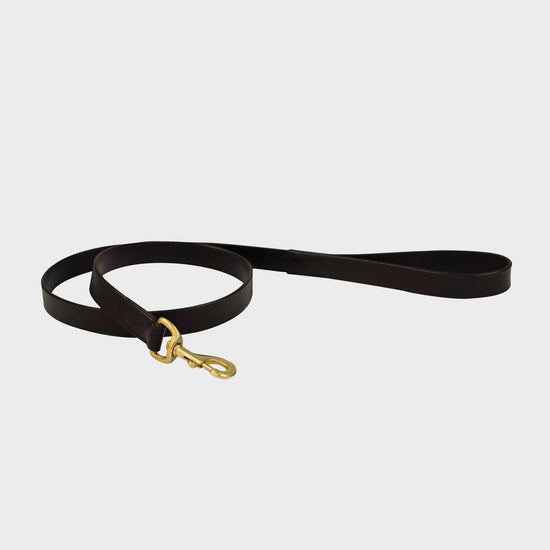 Leather Dog Lead