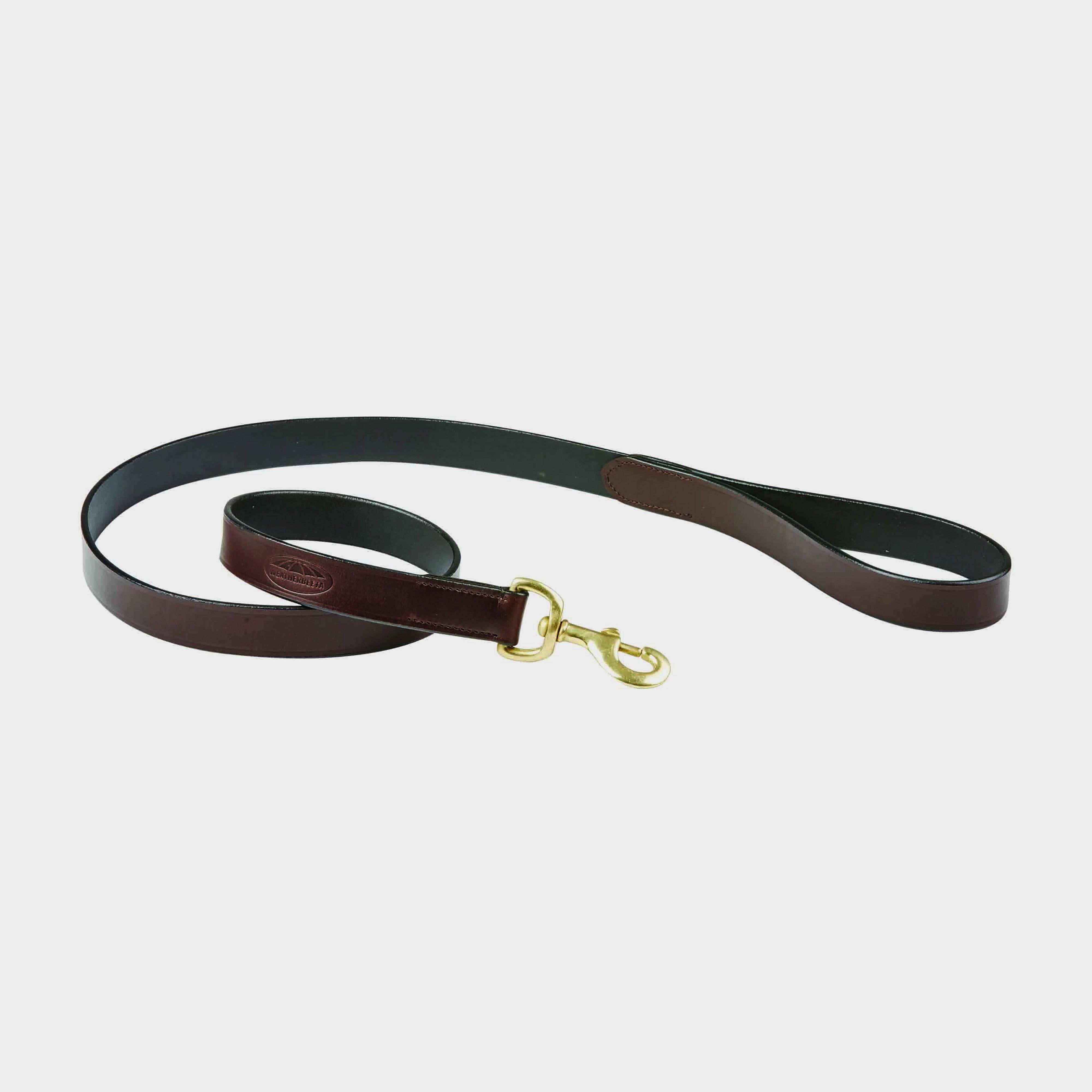 Leather Dog Lead