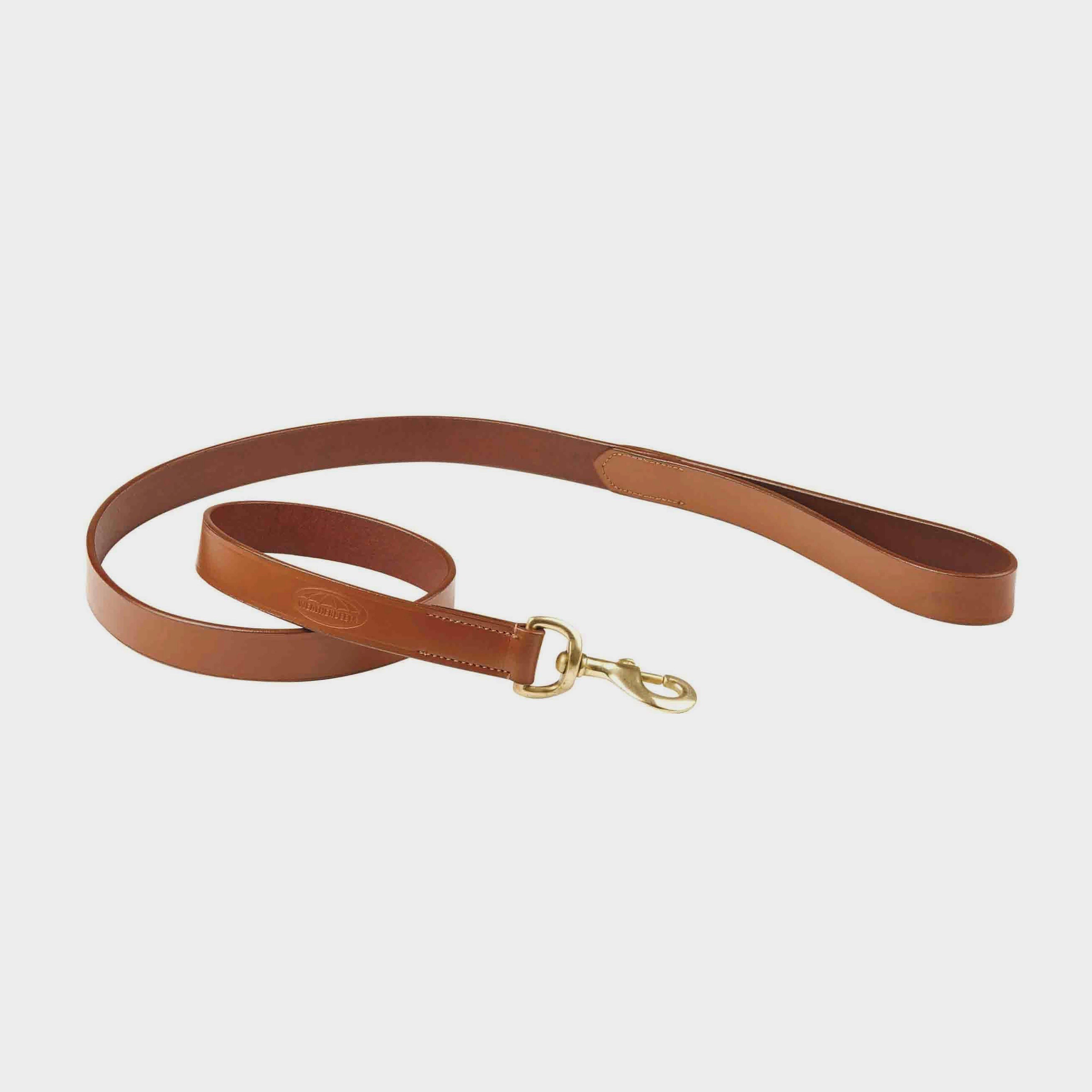 Leather Dog Lead