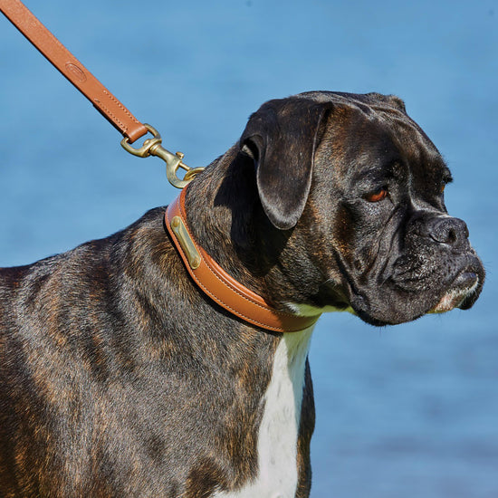 Leather Dog Lead