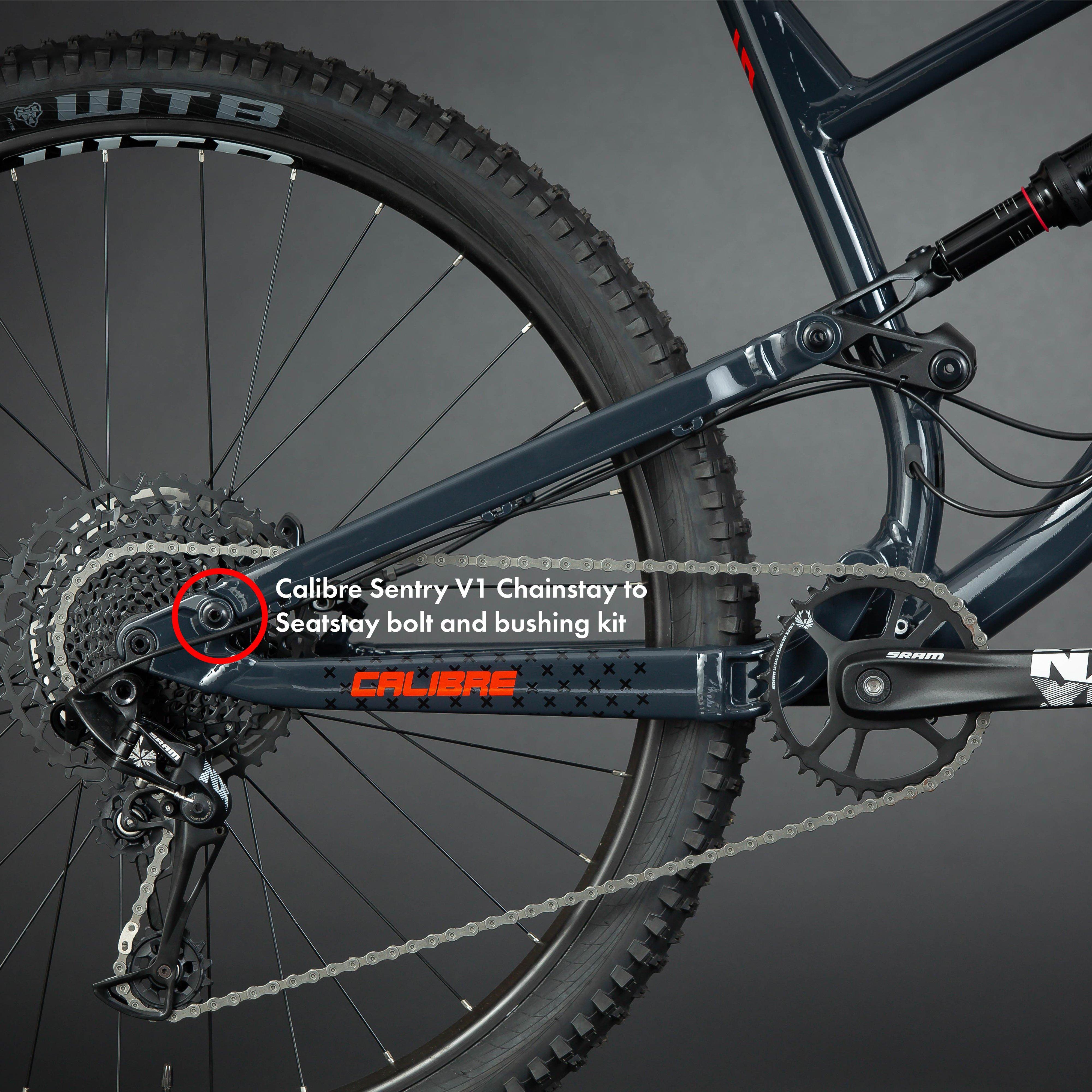 Sentry V1 Chainstay to Seatstay Bolt and Bushing Kit