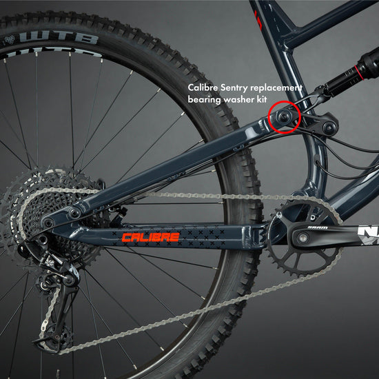 Sentry Replacement Bearing Washer Kit