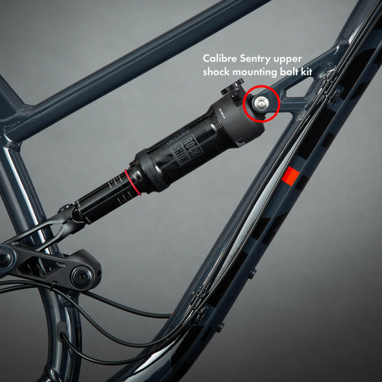 Sentry Upper Shock Mounting Bolt Kit