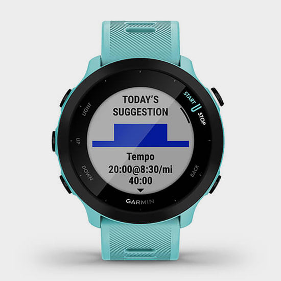 Forerunner 55 GPS Running Smartwatch