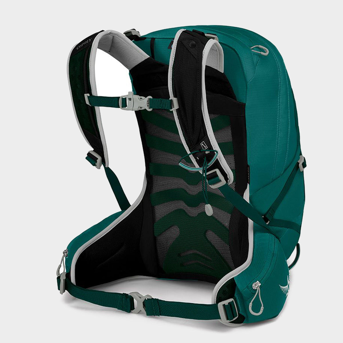 Women's Tempest 20 Daysack