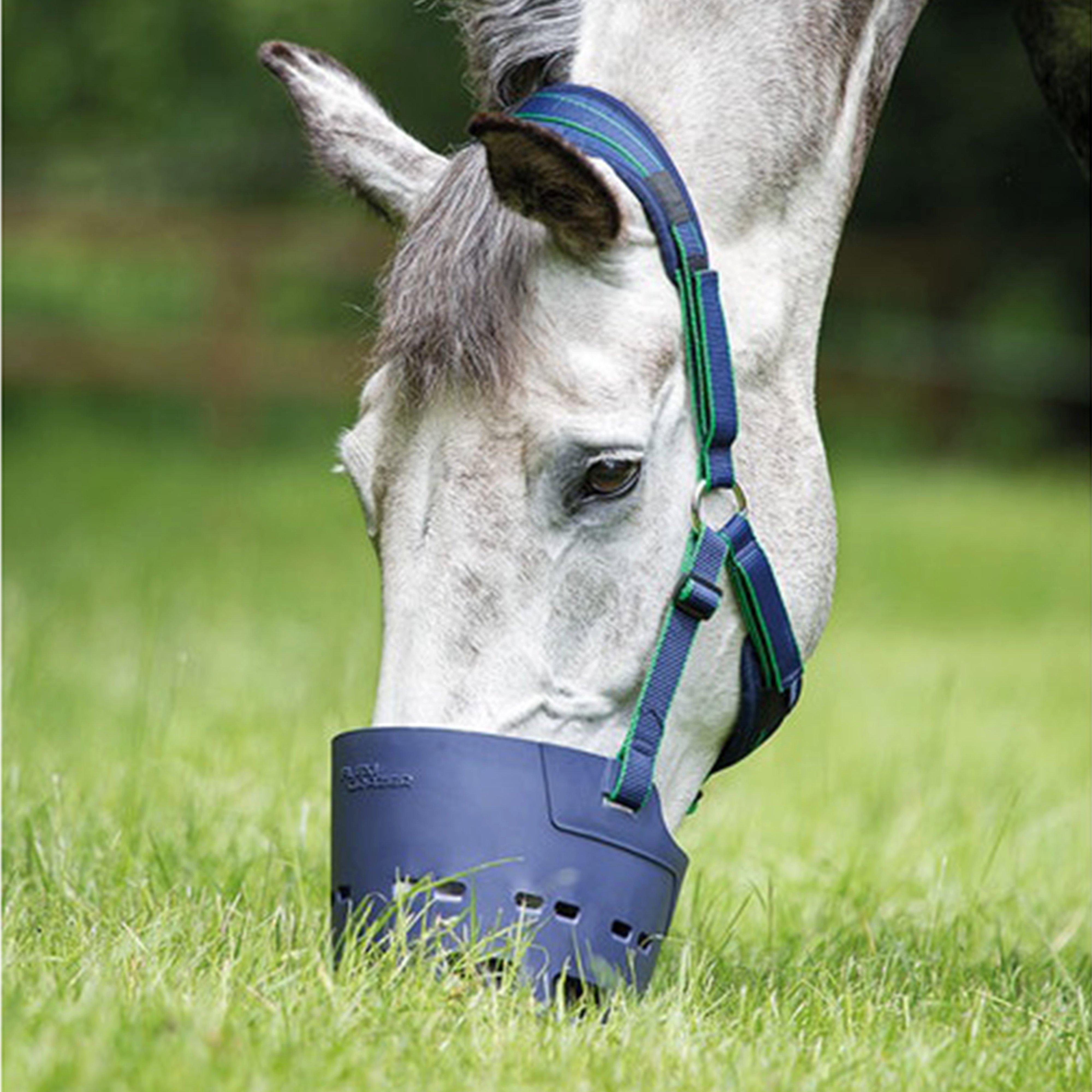 Flexi Grazer Muzzle