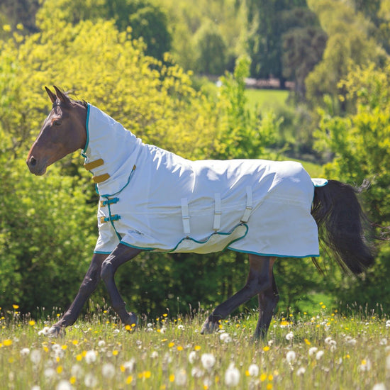 Tempest Plus Sweet-itch Combo Rug