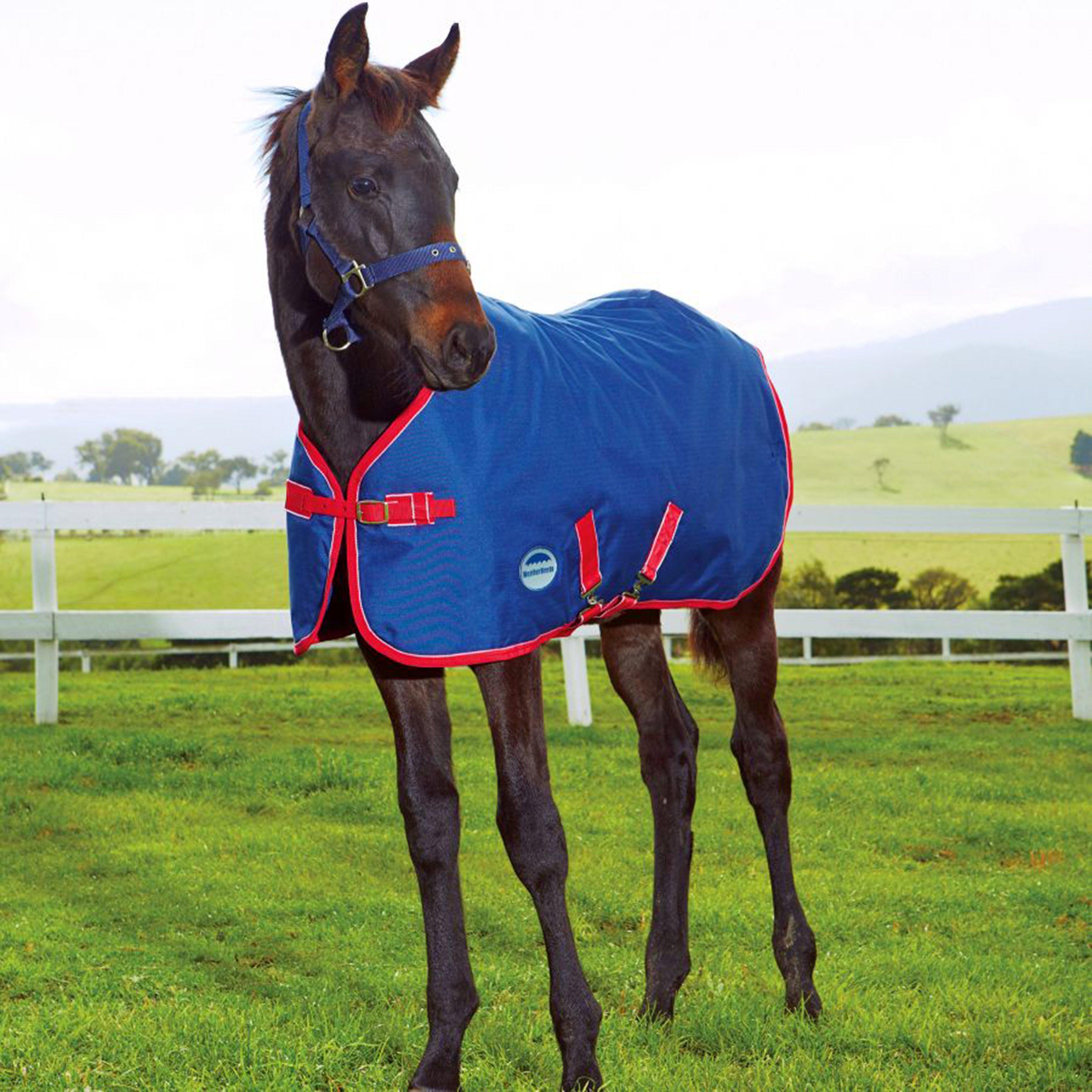 Original 1200D Foal Standard Neck Medium