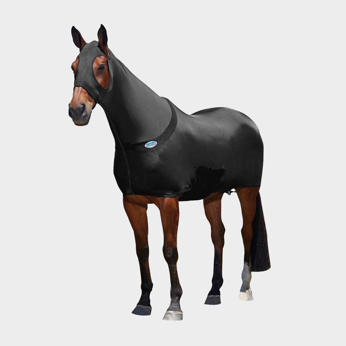 Stretch Rug with Belly Flap