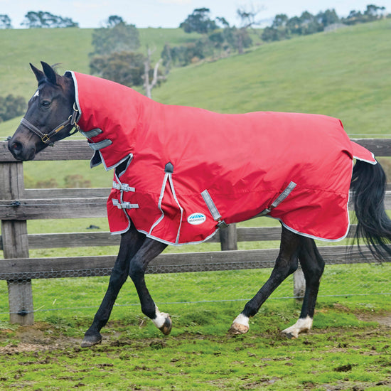 ComFiTec Classic Combo Neck 220g Medium Weight Turnout Rug