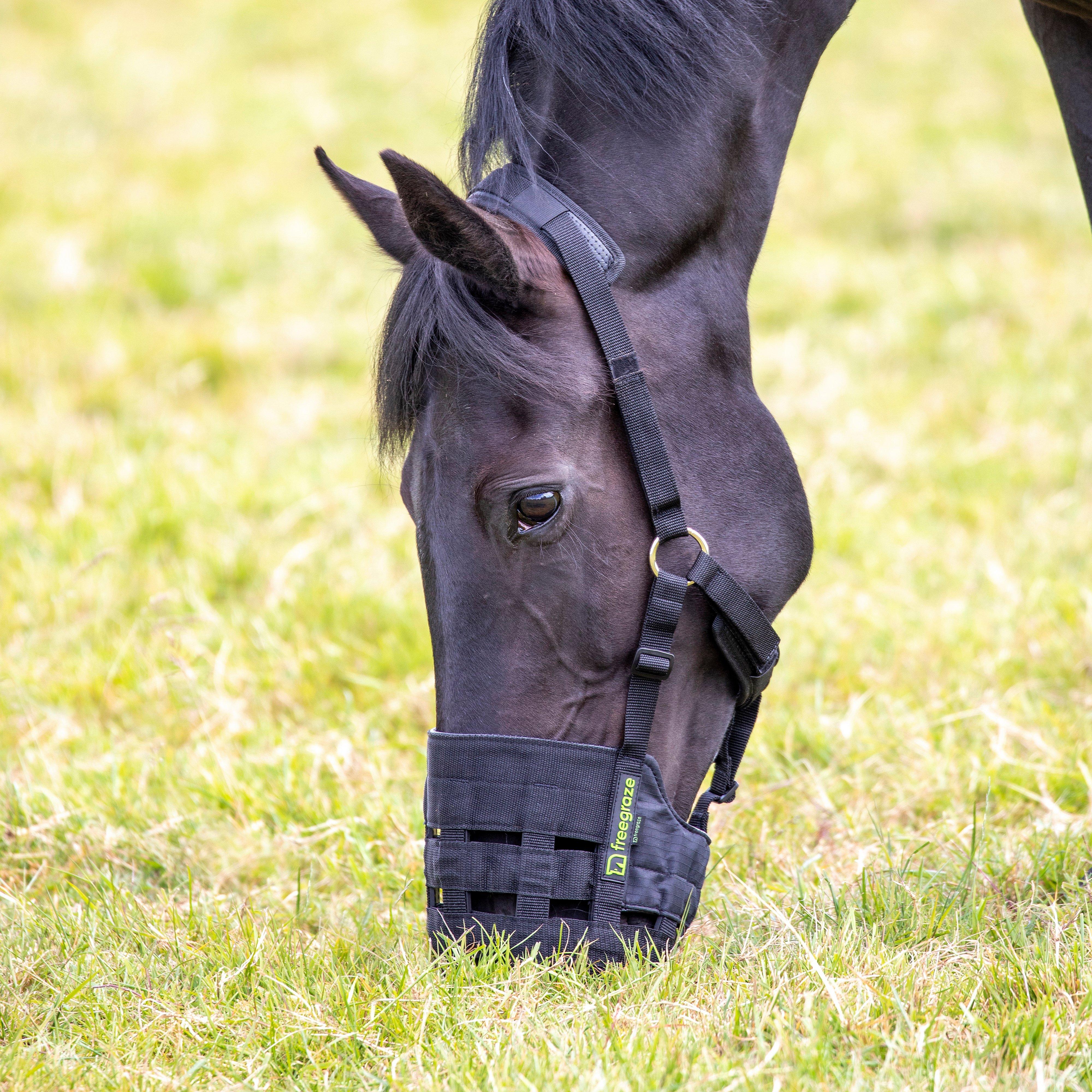Comfort Grazing Muzzle