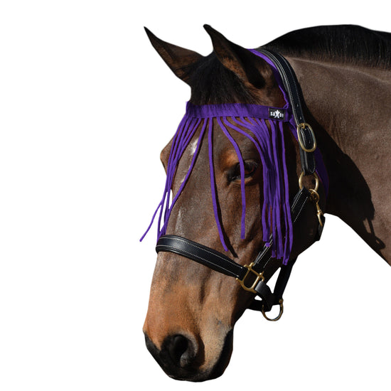 Fly Fringe Purple