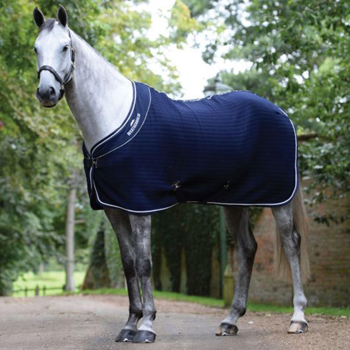 Thermocell Standard Neck Cooler (6ft-7ft3)