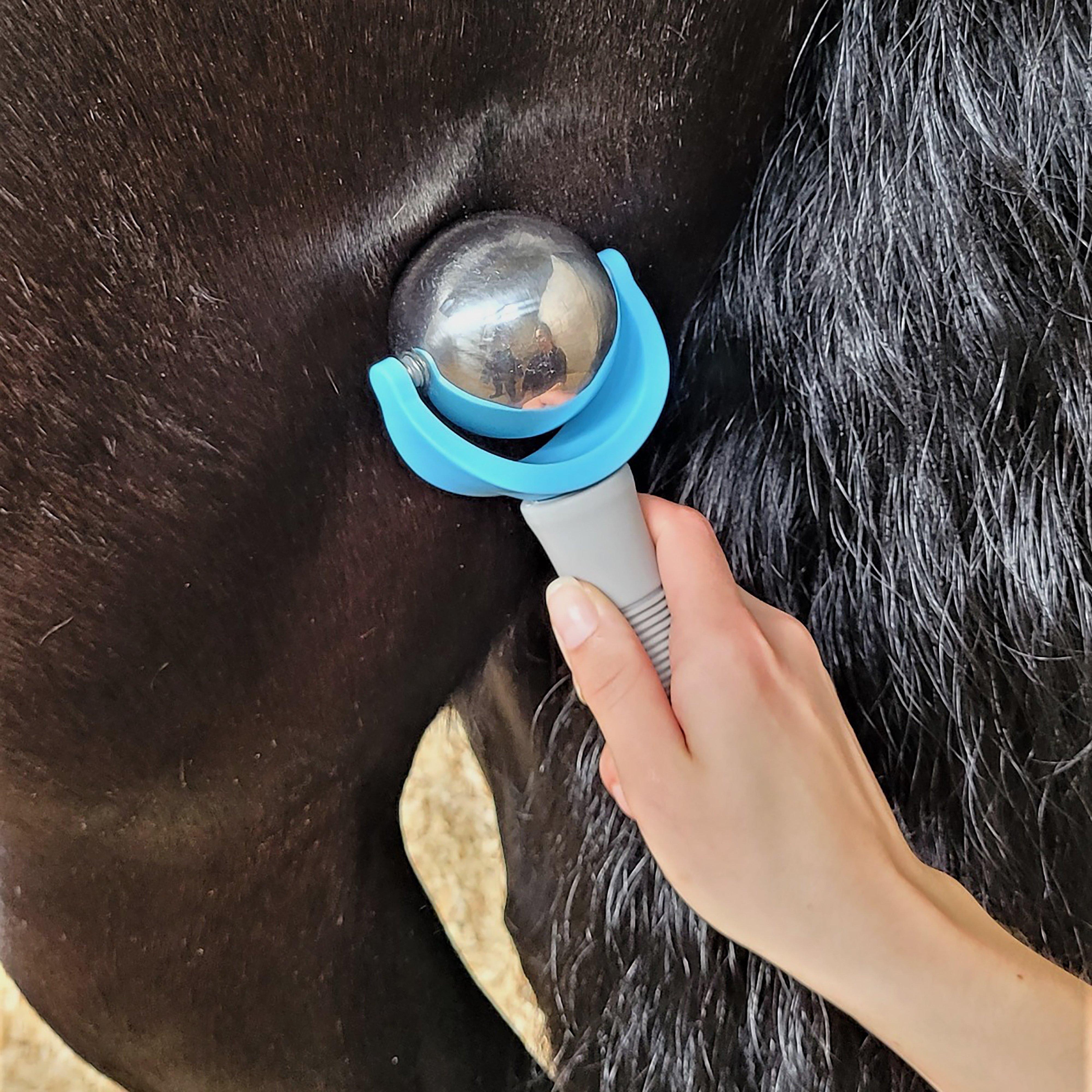 Massage Ball