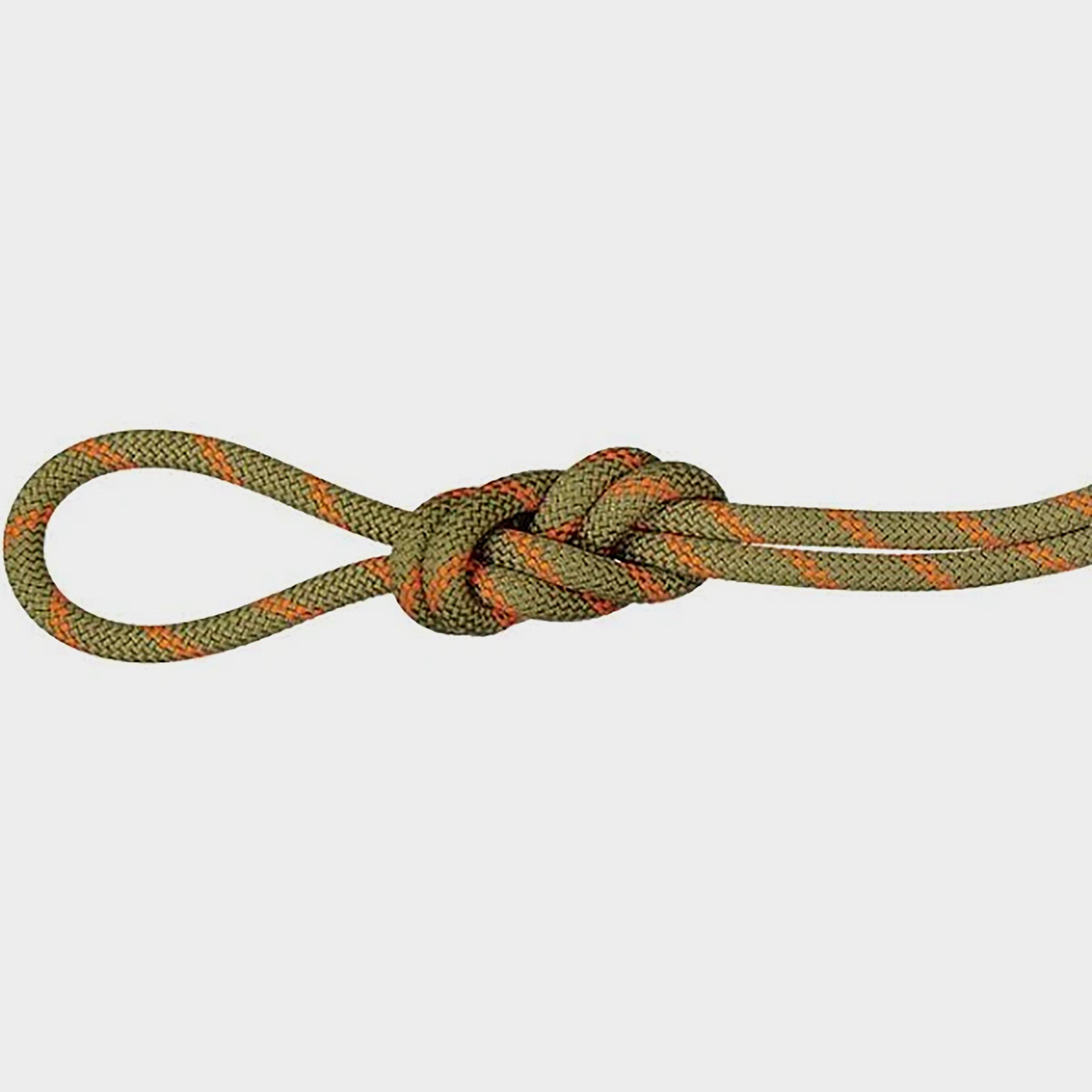 Alpine Dry 8.0 Rope 50m