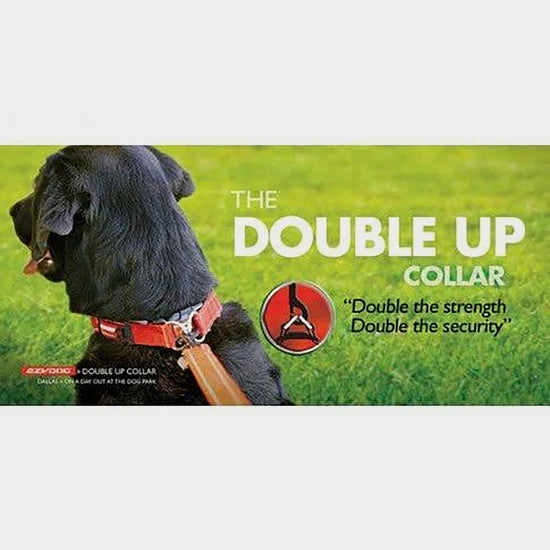 Double Up Dog Collar (Small)