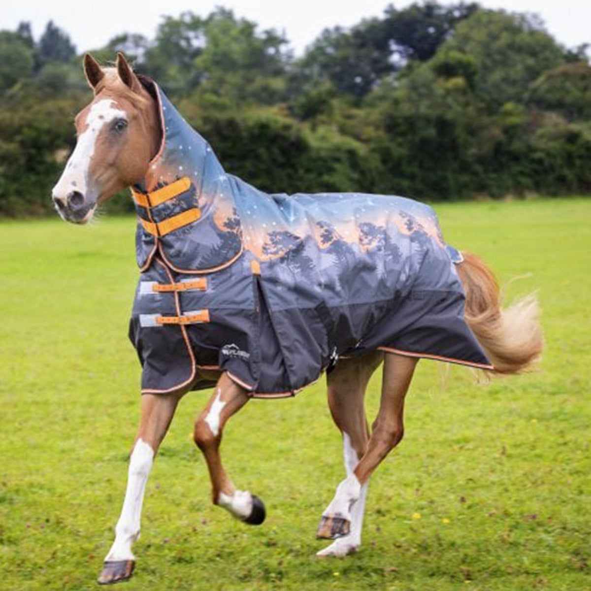 Highlander Original 200g Medium Combo Neck Turnout Rug Winter Sunset